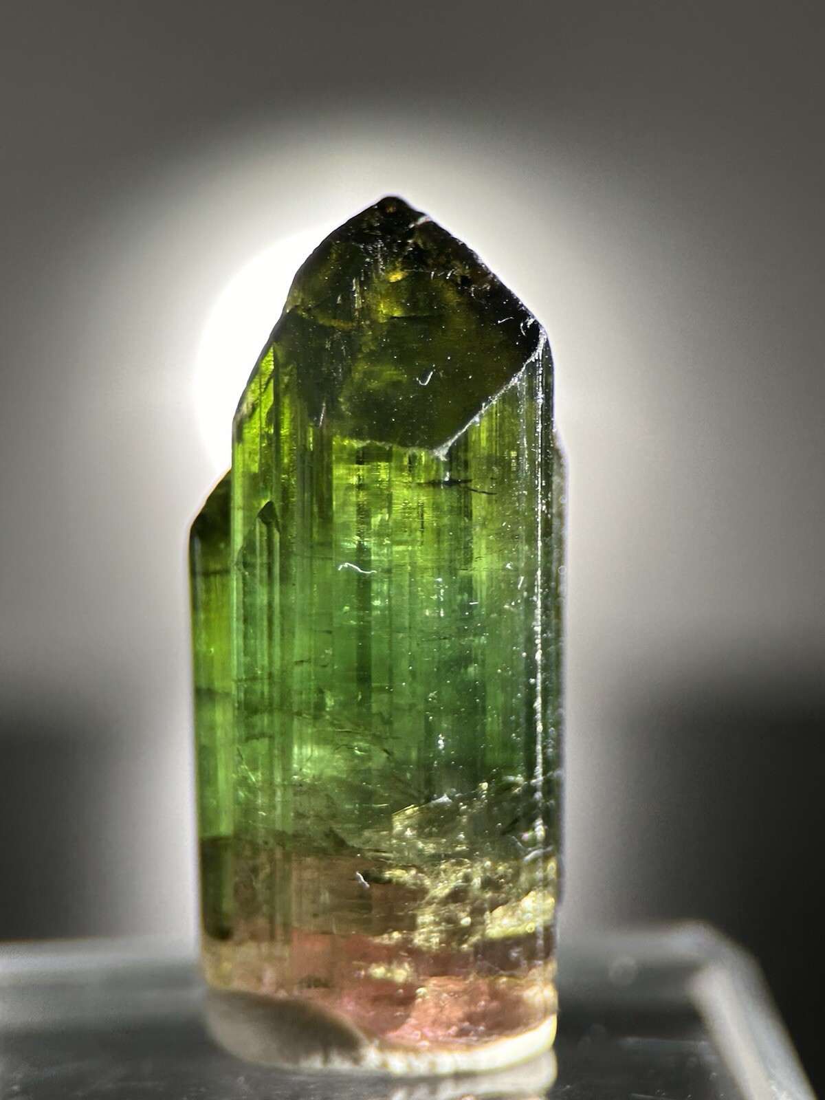 8.9 gram Terminated Multicolor Tourmaline From Chia Mine Minas Gerais Brazil