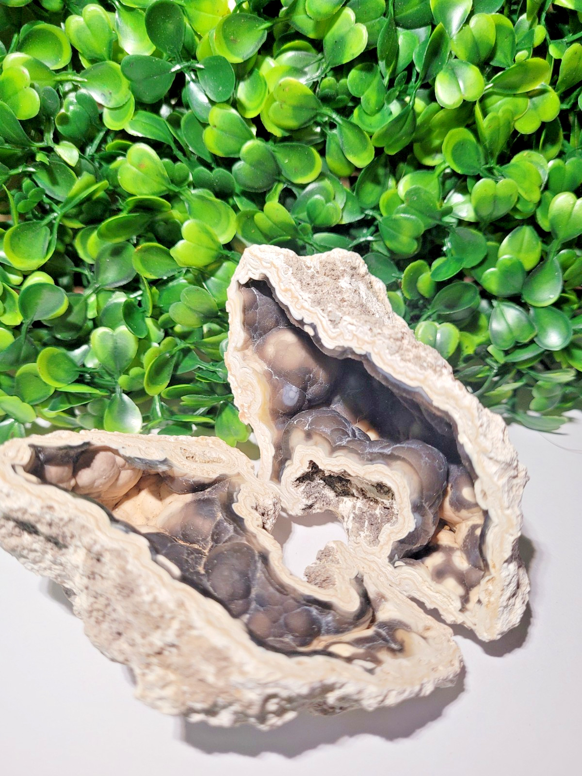 Stunning Black & White Banded Coral Agate Geode - Natural Crystal 