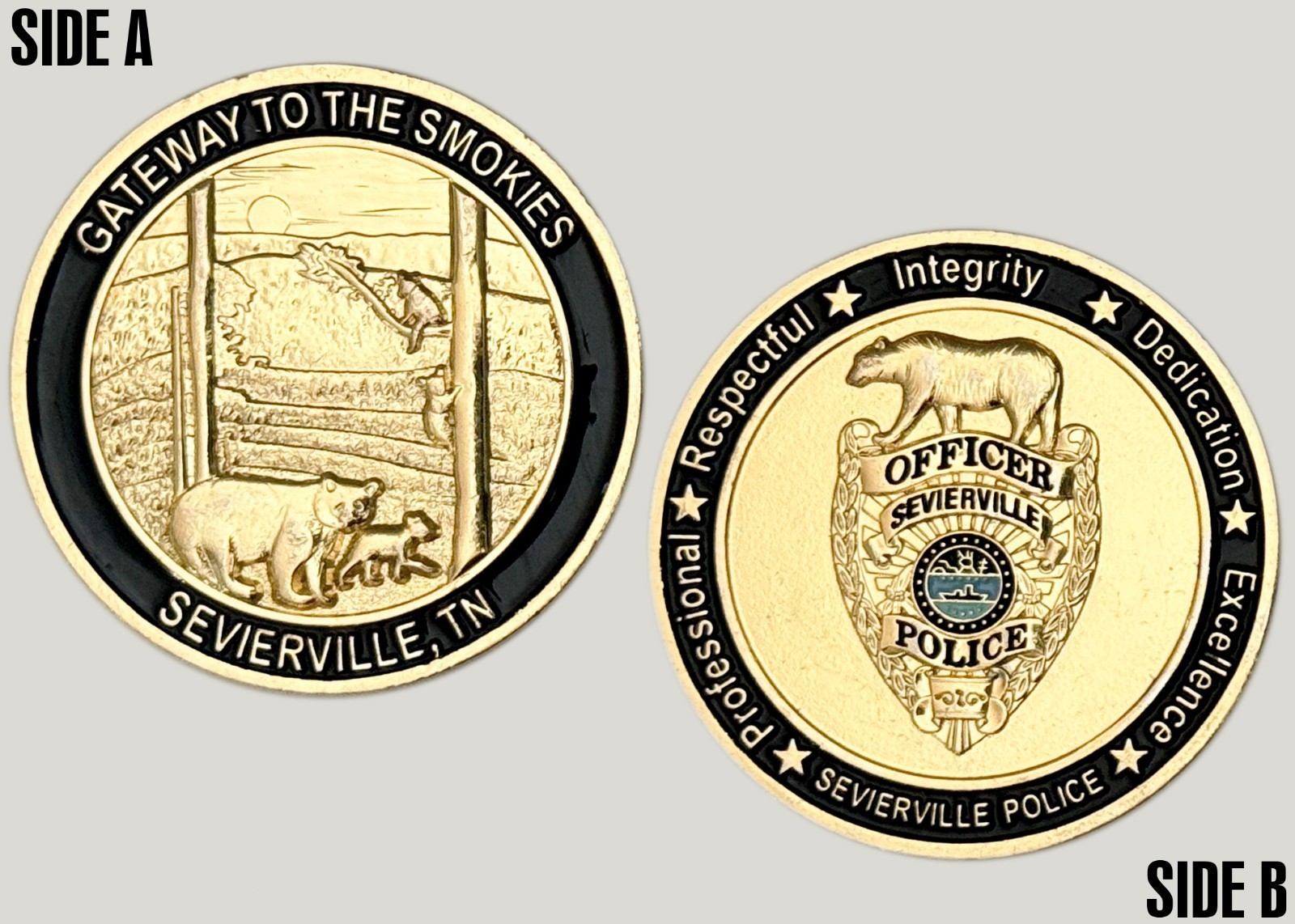 Sevierville Police 