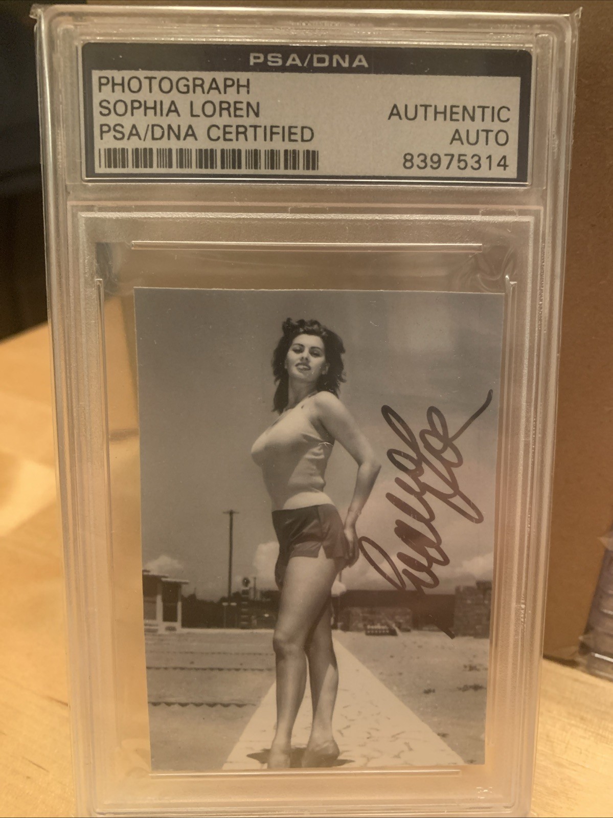MODEL SOPHIA LOREN SIGNED PHOTOGRAPH PSA DNA CERTIFIED AUTHENTIC AUTOGRAPH