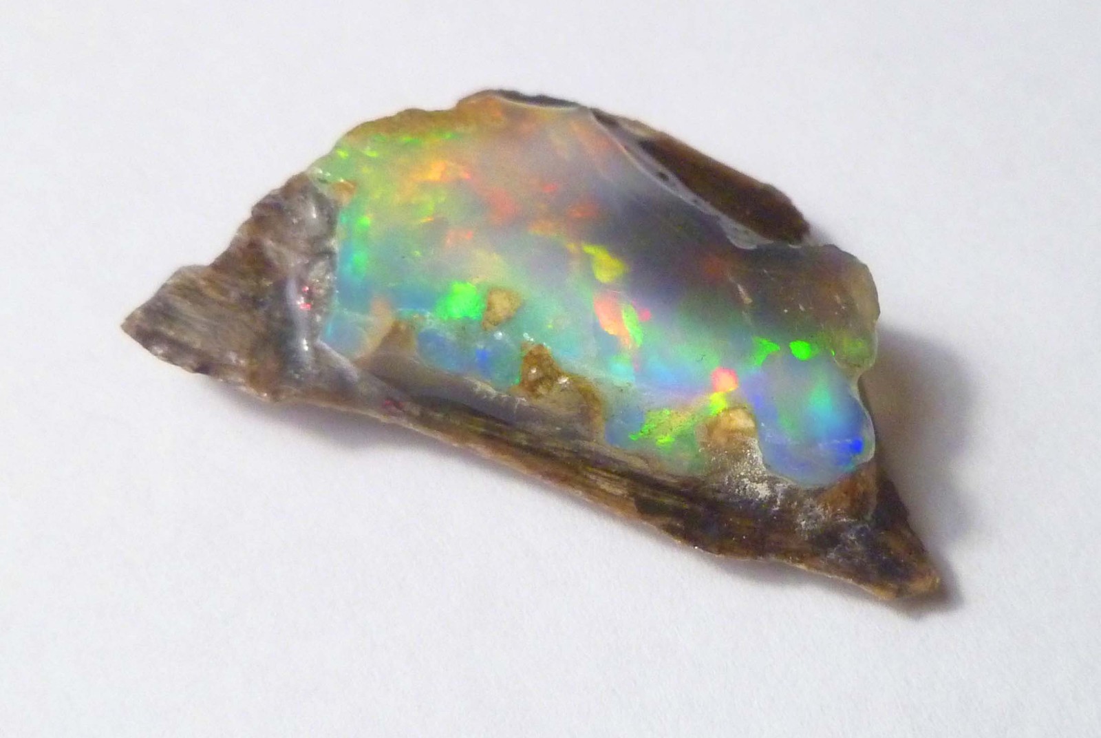 BLACK Opalized Wood from Virgin Valley Nevada Precious Opal 27 carats