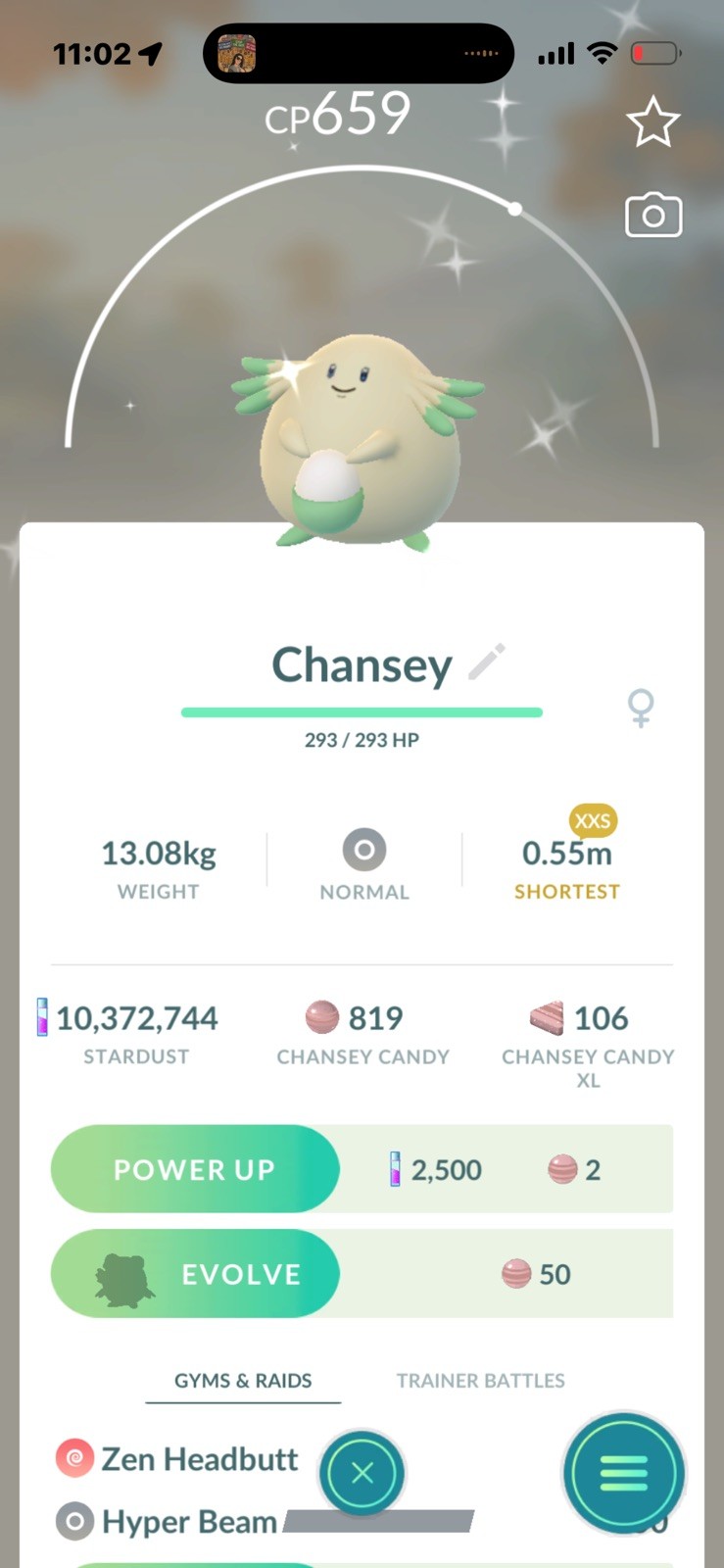 Pokemon Go Shiny Chansey  ( XXS)
