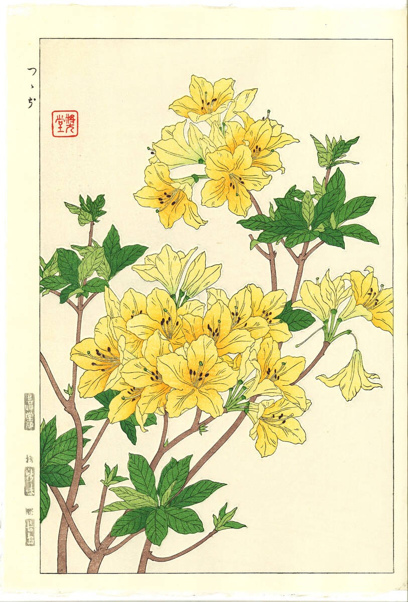 Kawarazaki Shodo Azalea Japanese Woodblock Print Tsutsuji Echizen Washi Paper