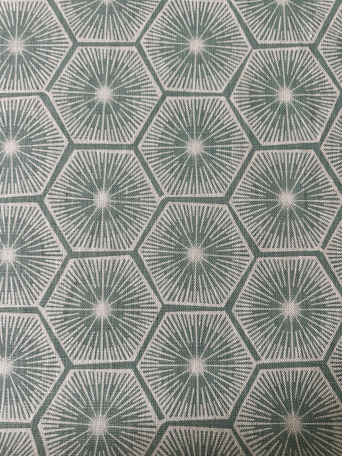 Rapture and Wright Medina in Seafoam Hand Print Fabric 2 5/8 Yards