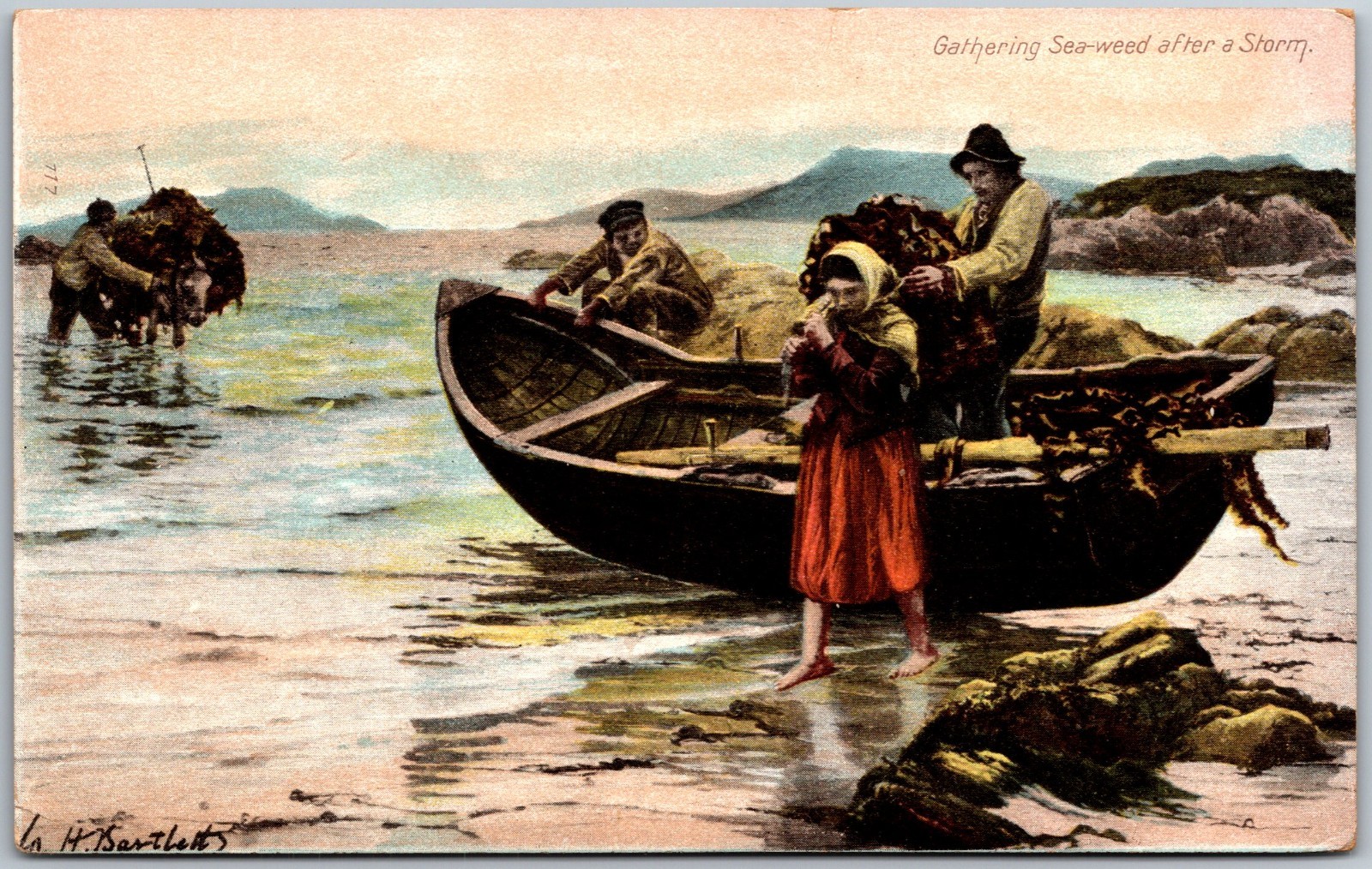 Gathering Sea weed after a Storm Irish Donkey Fishing Scene Postcard 2301