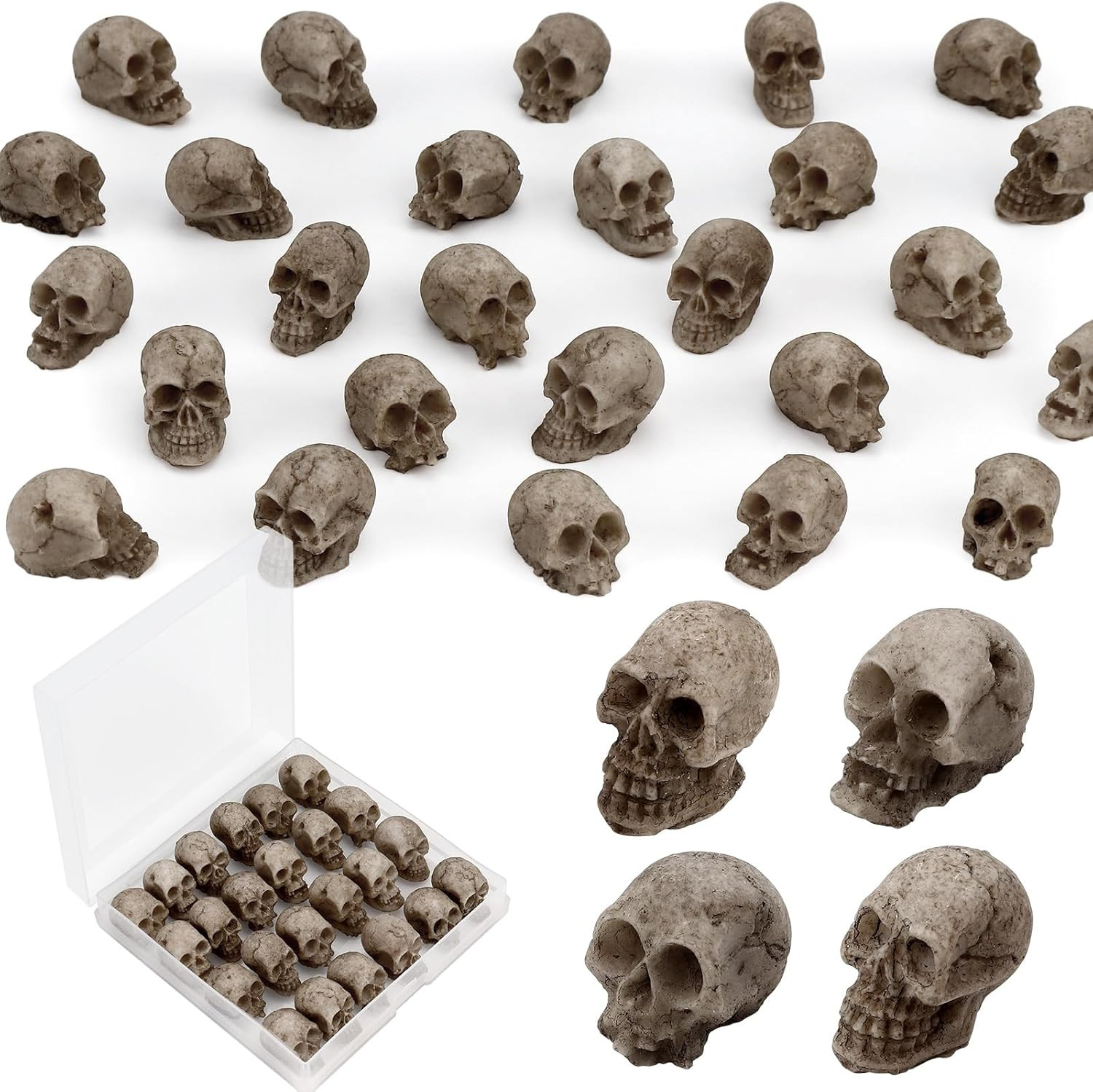 24 PCS Mini Skull Heads, Miniature Skeleton Heads Figurines, Tiny Resin Skulls