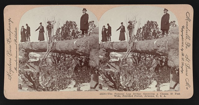 Photo:Petrified Forest Arizona 1903 Famous Log Bridge Chasm Stereoview