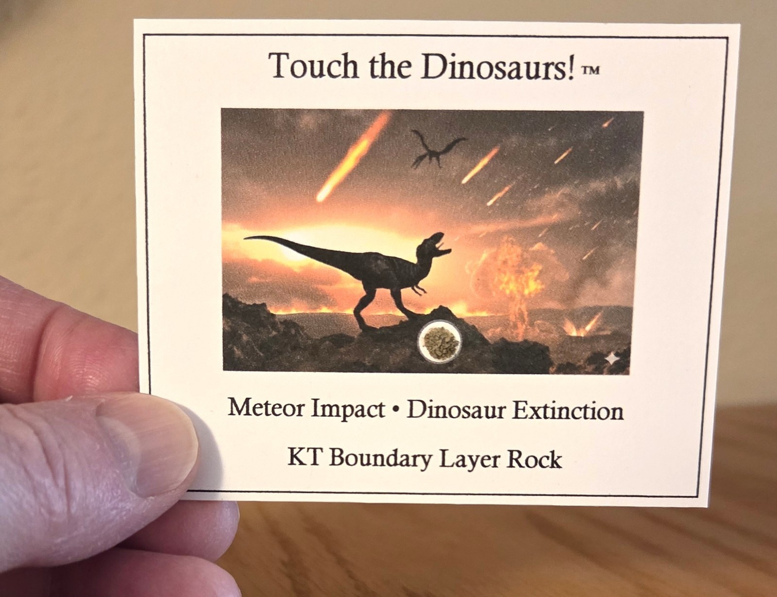Dinosaur Extinction Mini-Museum Display. KT Boundary Layer. Authenticity Card
