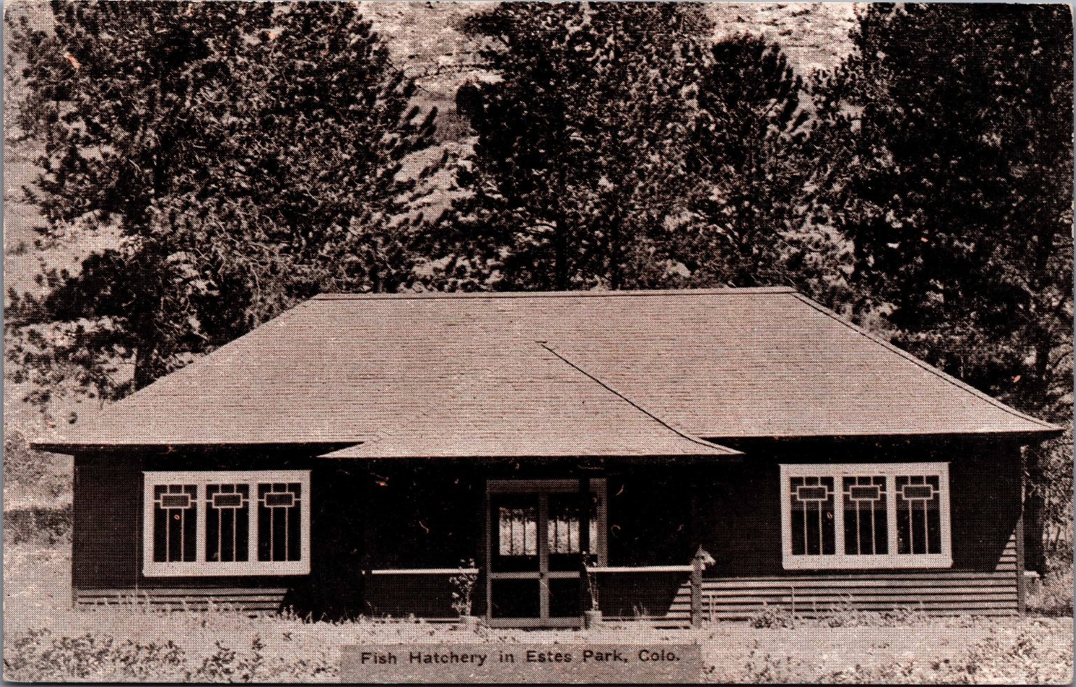 Estes Park CO Fish Hatchery Vintage Postcard H.R. Schmidt & Co. 602
