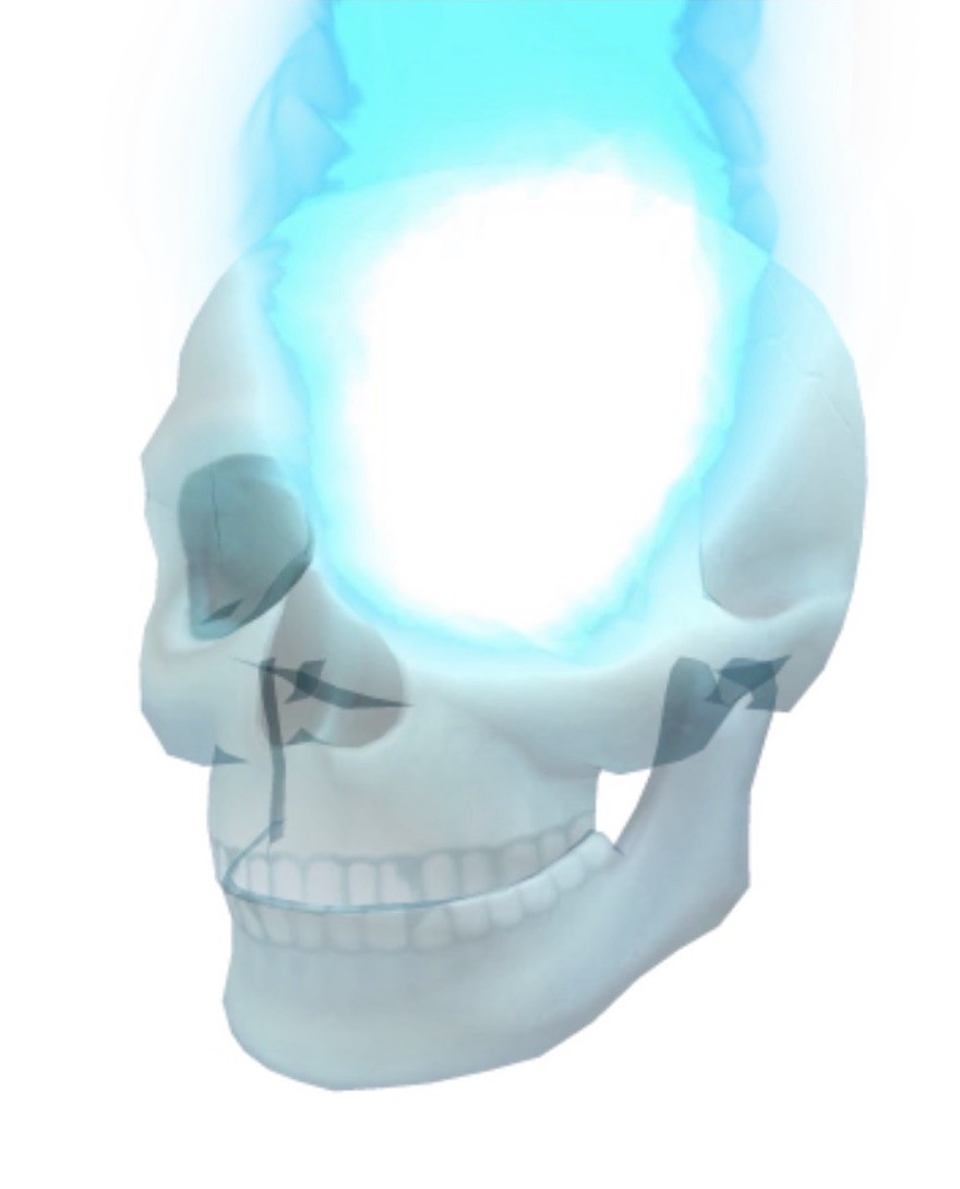 Blue inferno skull limited Roblox