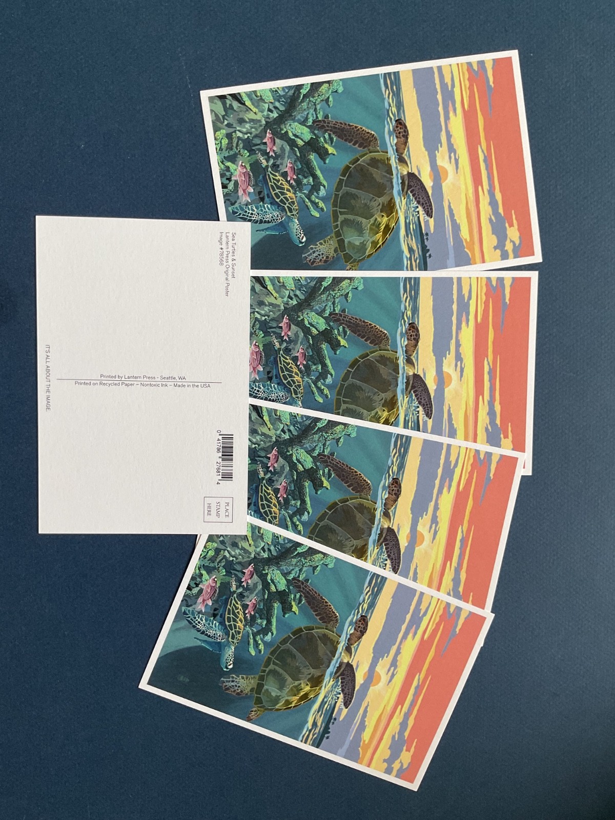 Sea Turtle  - Lantern Press Postcard lot of 5