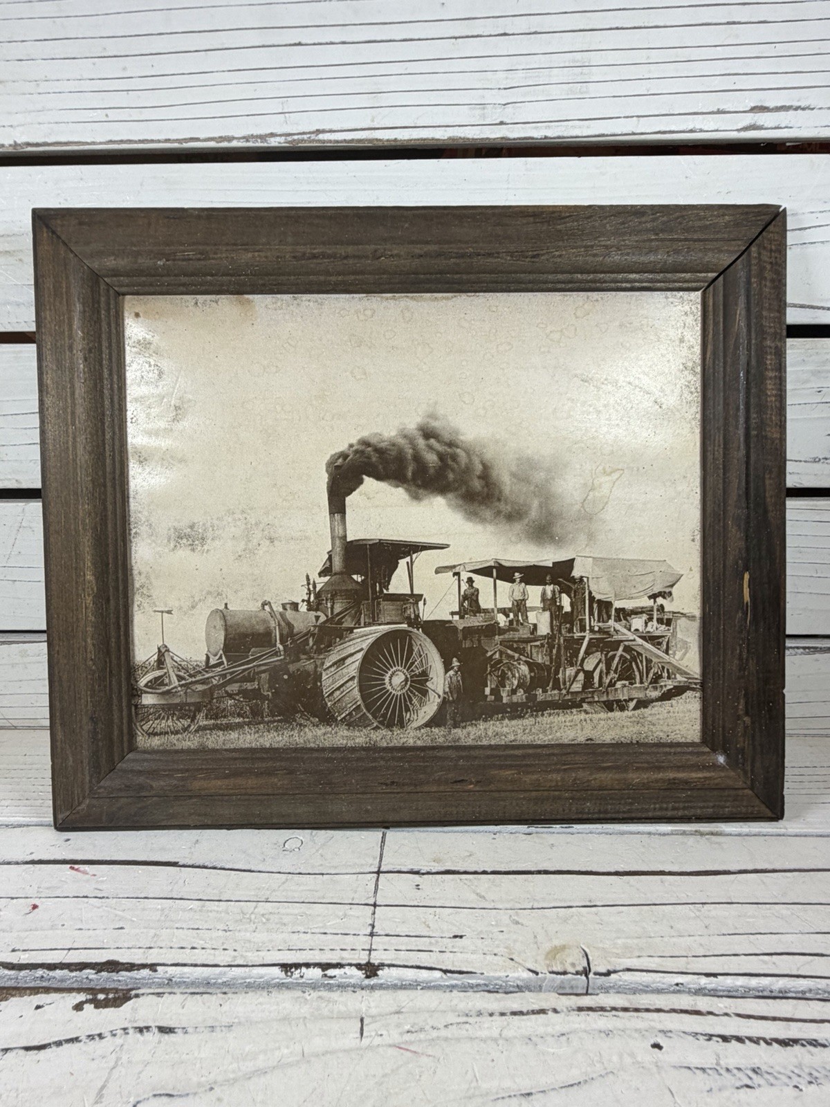 Angles Camp 19th-century steam tractor and agricultural combine in a field