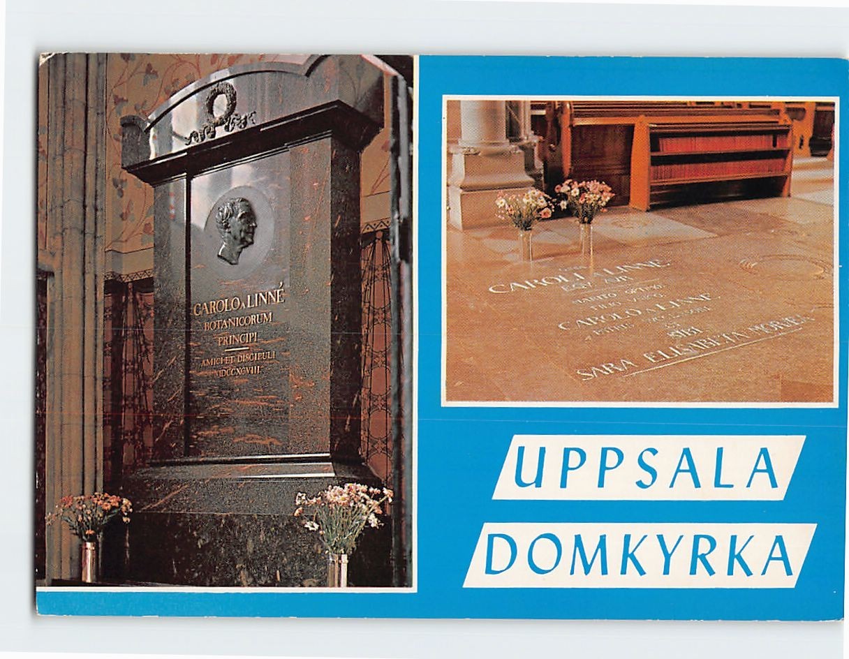 Postcard Uppsala Domkyrka Uppsala Sweden