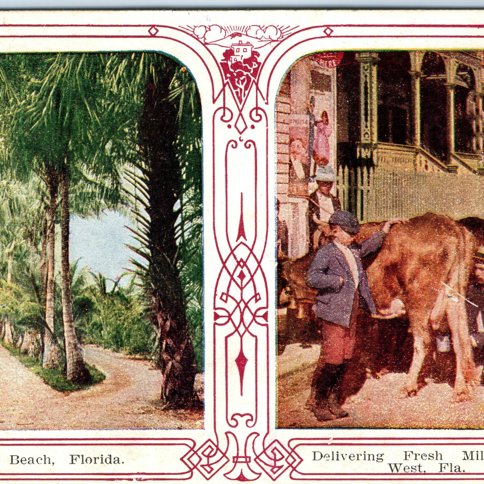c1900s Key West FL Fresh Milk Delivery Cow Palm Beach Florida Litho Postcard