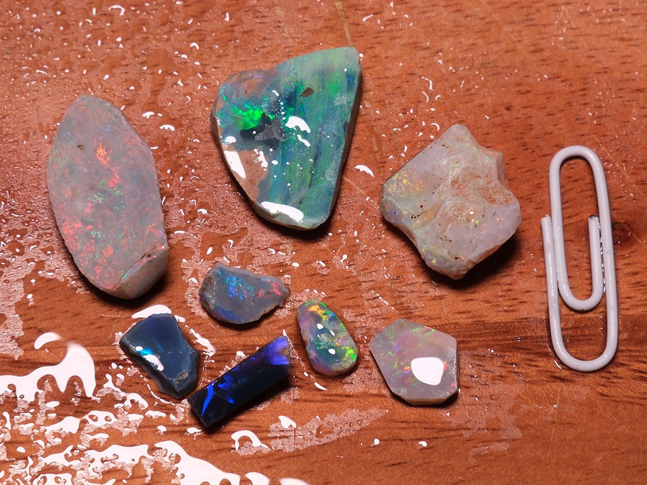 BLACK OPAL RUBS / Preforms - 9.89 ct - Lightning Ridge, Australia