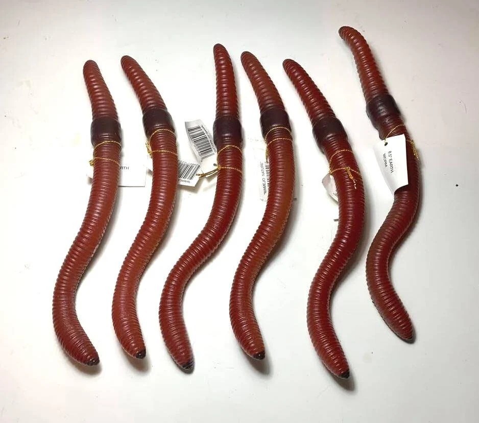 8.5