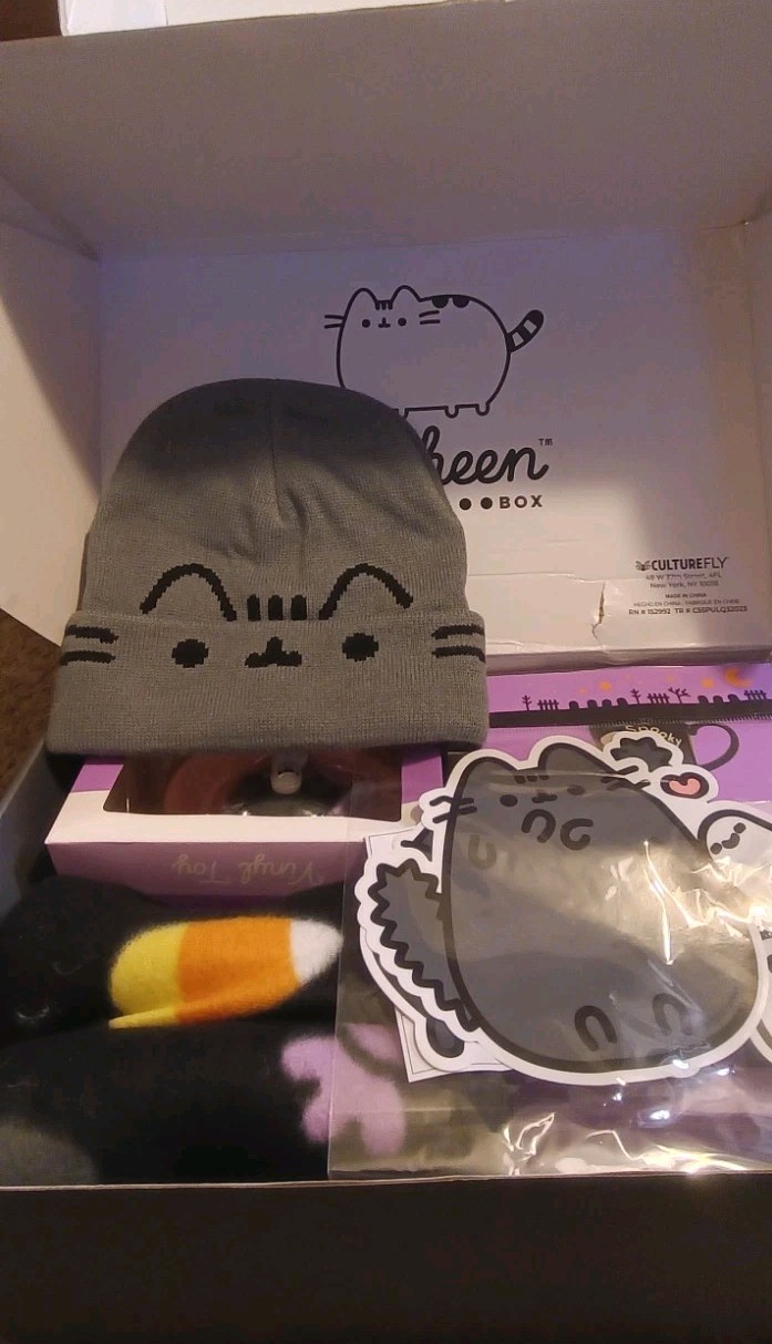 Pusheen Box Halloween Fall 2023 Spooky Missing Sweatshirt New Items Never Used