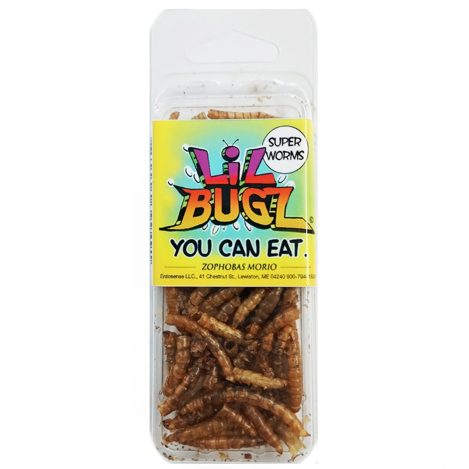 SUPER WORMS Lil Bugz edible insects bred for human consumption