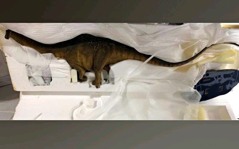 Sideshow Collectibles Apatosaurus 2011 #75/100 Exclusive Edition