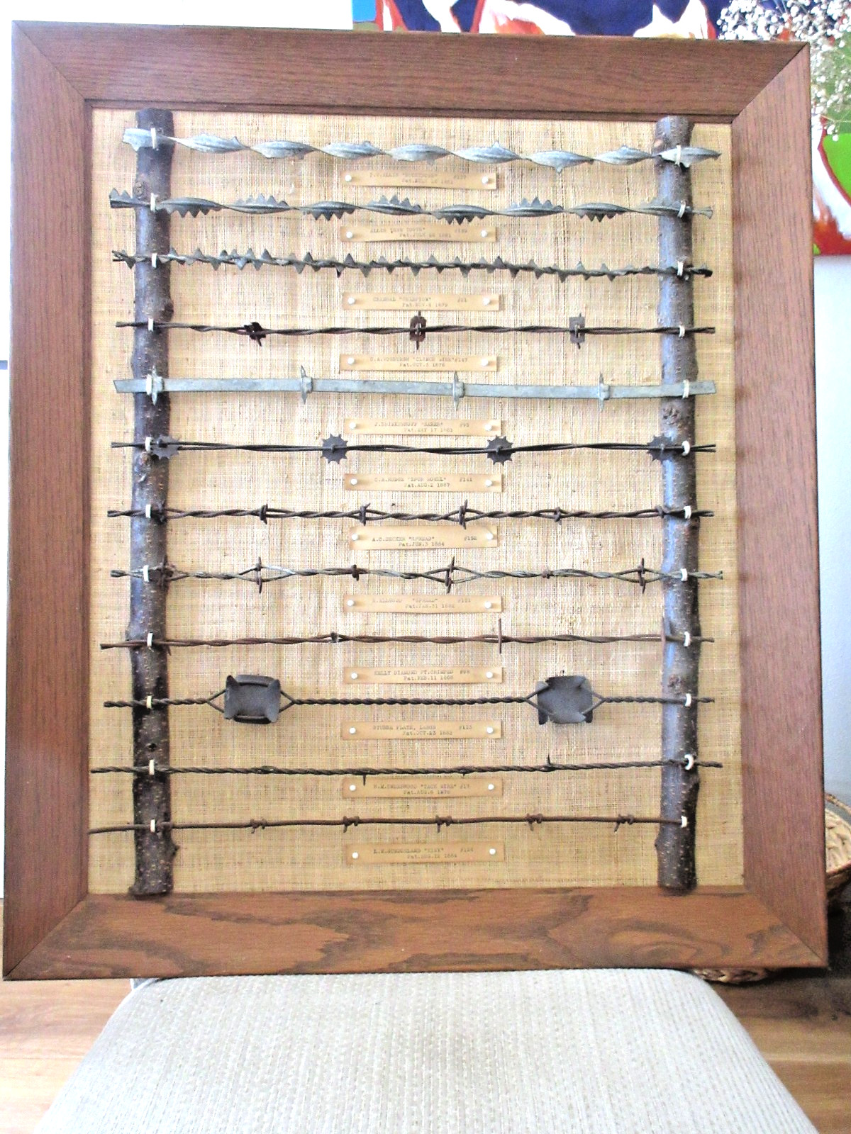 Vintage Barbed Wire Display-1800's