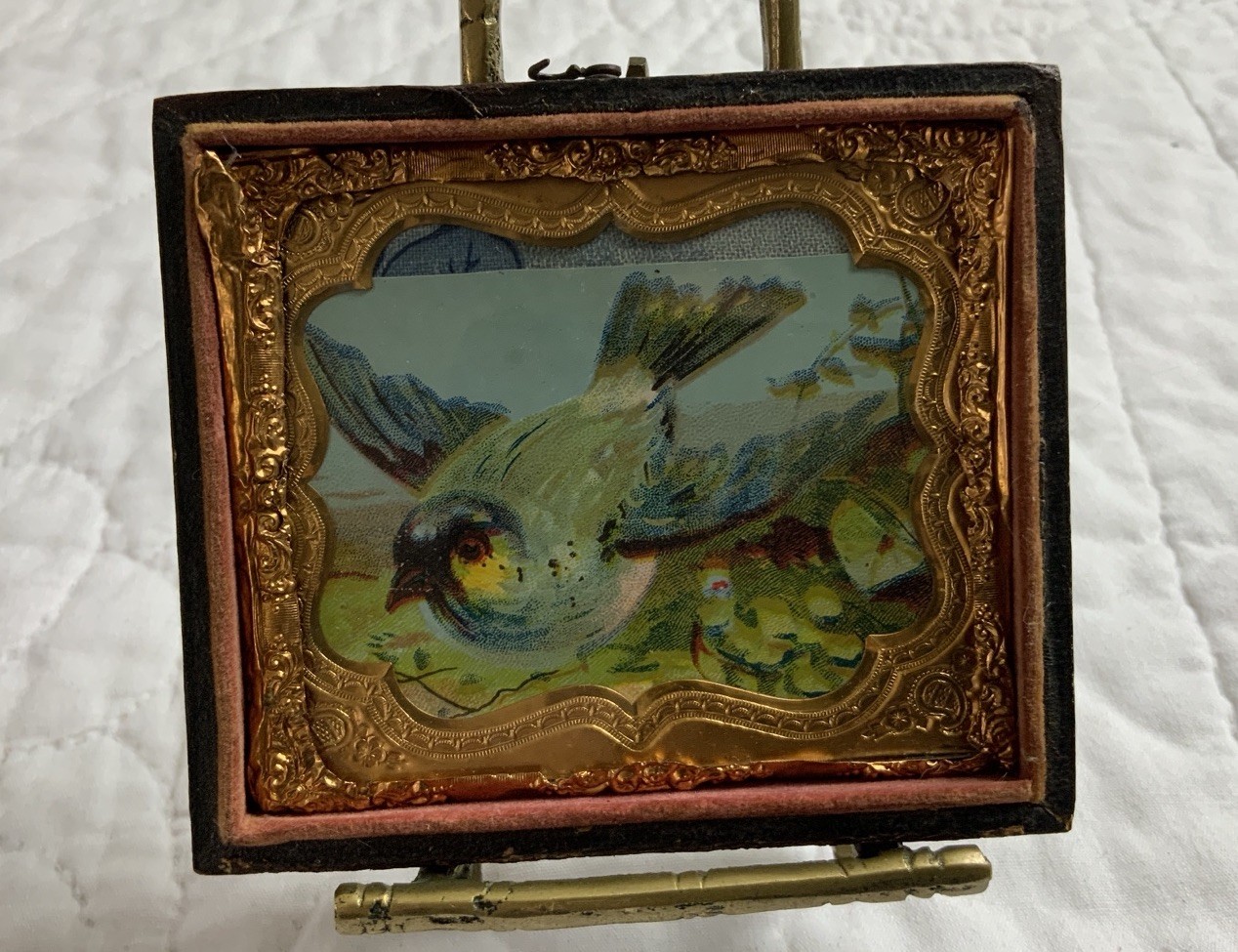 Vintage Antique Victorian Trade Card Ephemera Framed, Union Case, Blue Bird