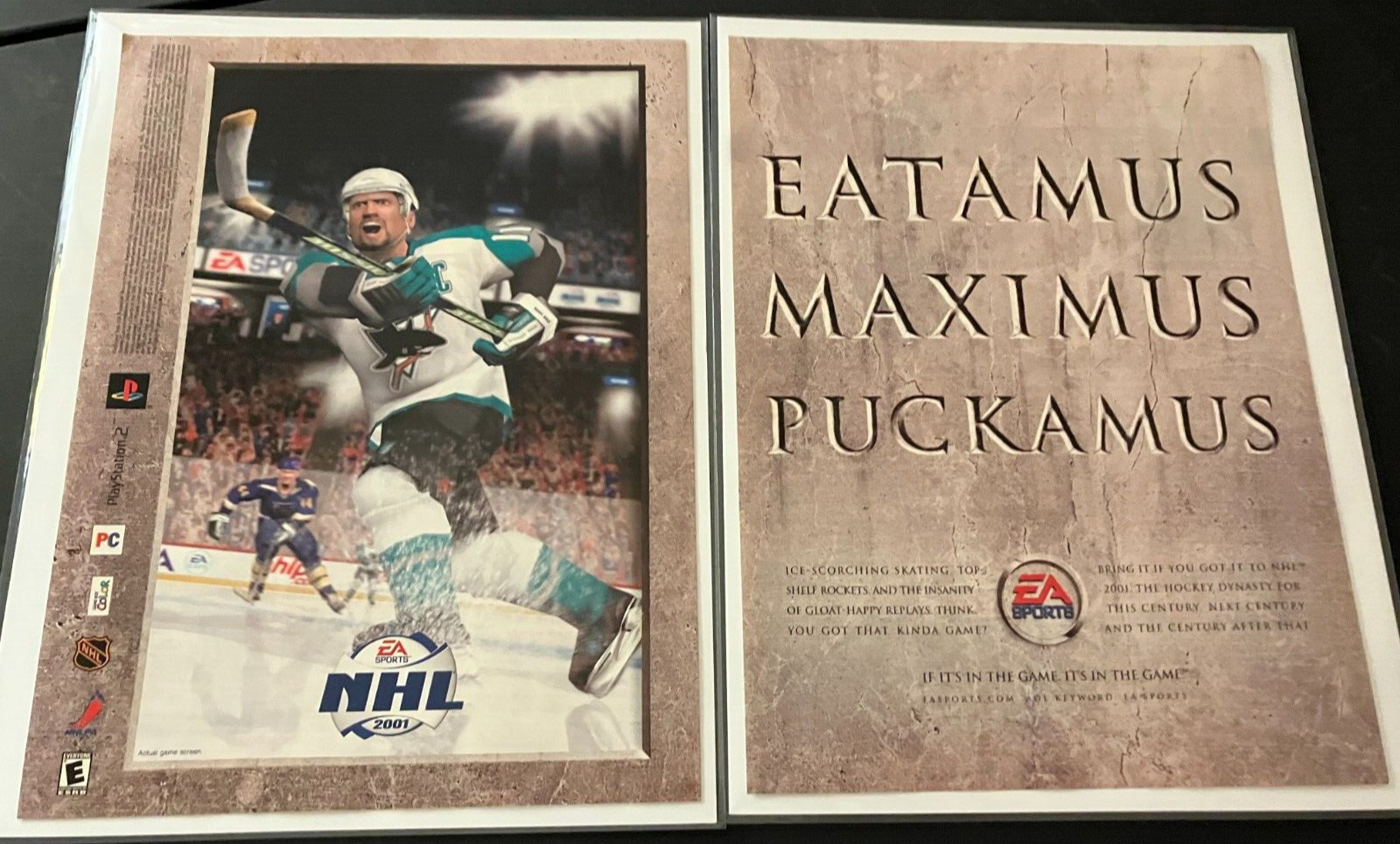 NHL 2001 Hockey / Owen Nolan - Vintage Gaming Print Ad / Poster / Wall Art