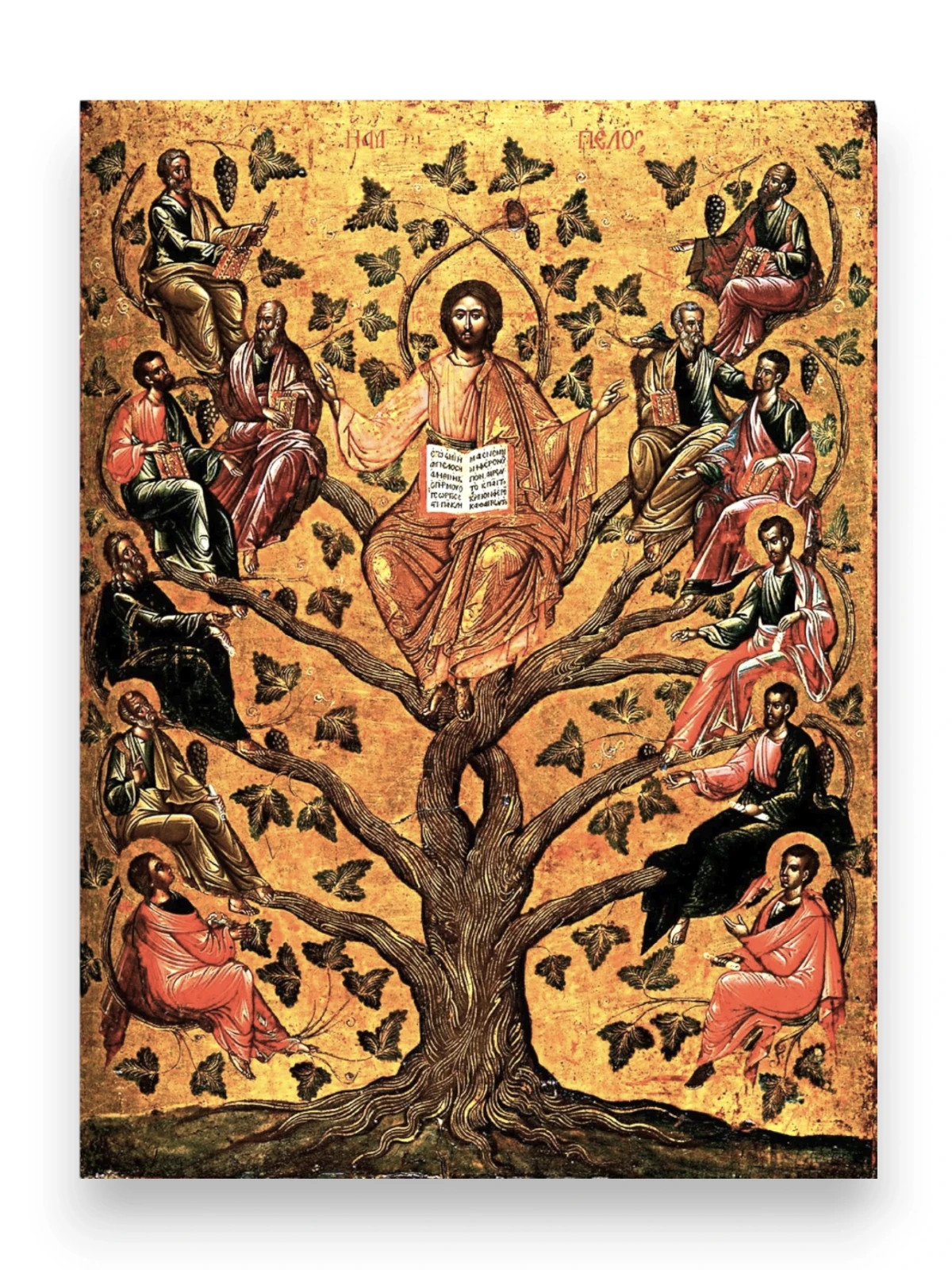 Christ Ampelos Greek icon with apostles on vine branches | 30x39 cm (12\