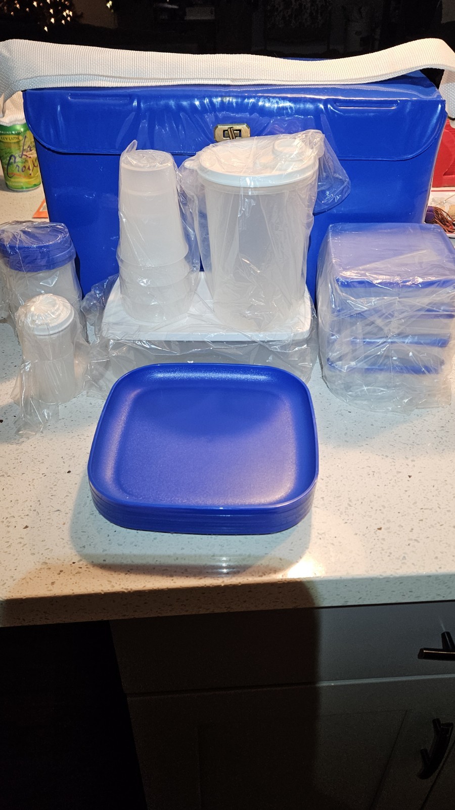 Vintage & Rare 1986 Tupperware Picnic Box W/Service For Four-Never Used