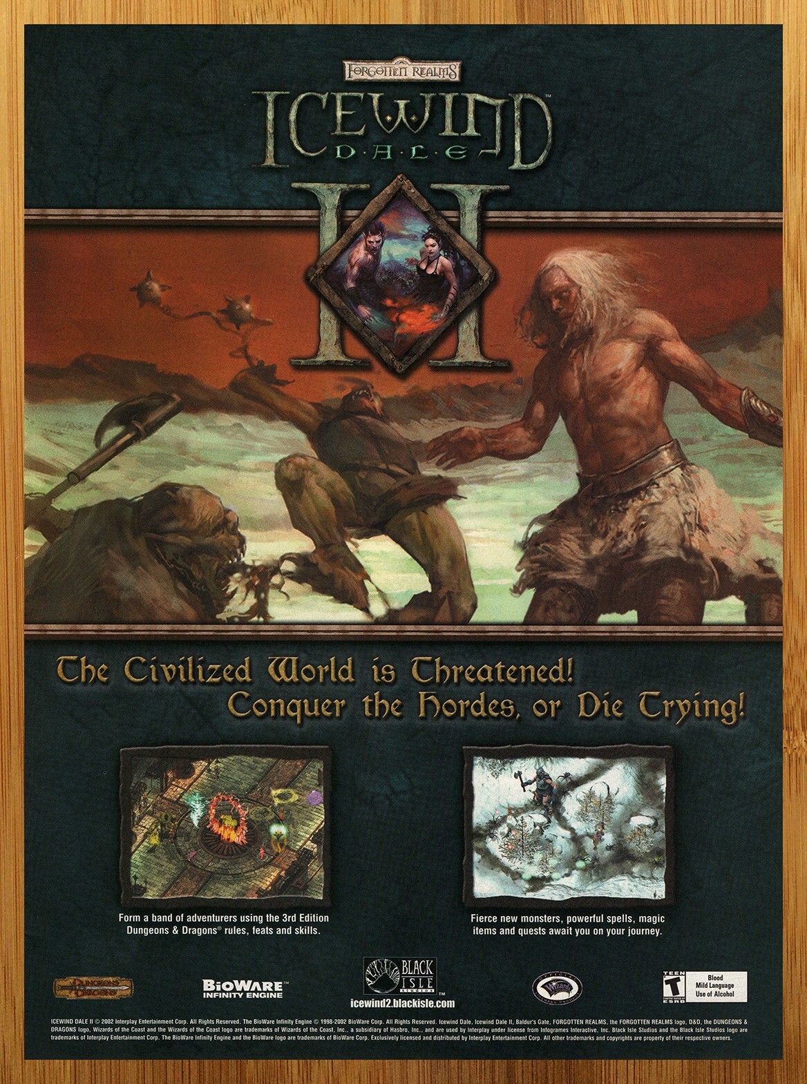 2002 Forgotten Realms Icewind Dale II PC Print Ad/Poster AD&D Video Game Art 00s