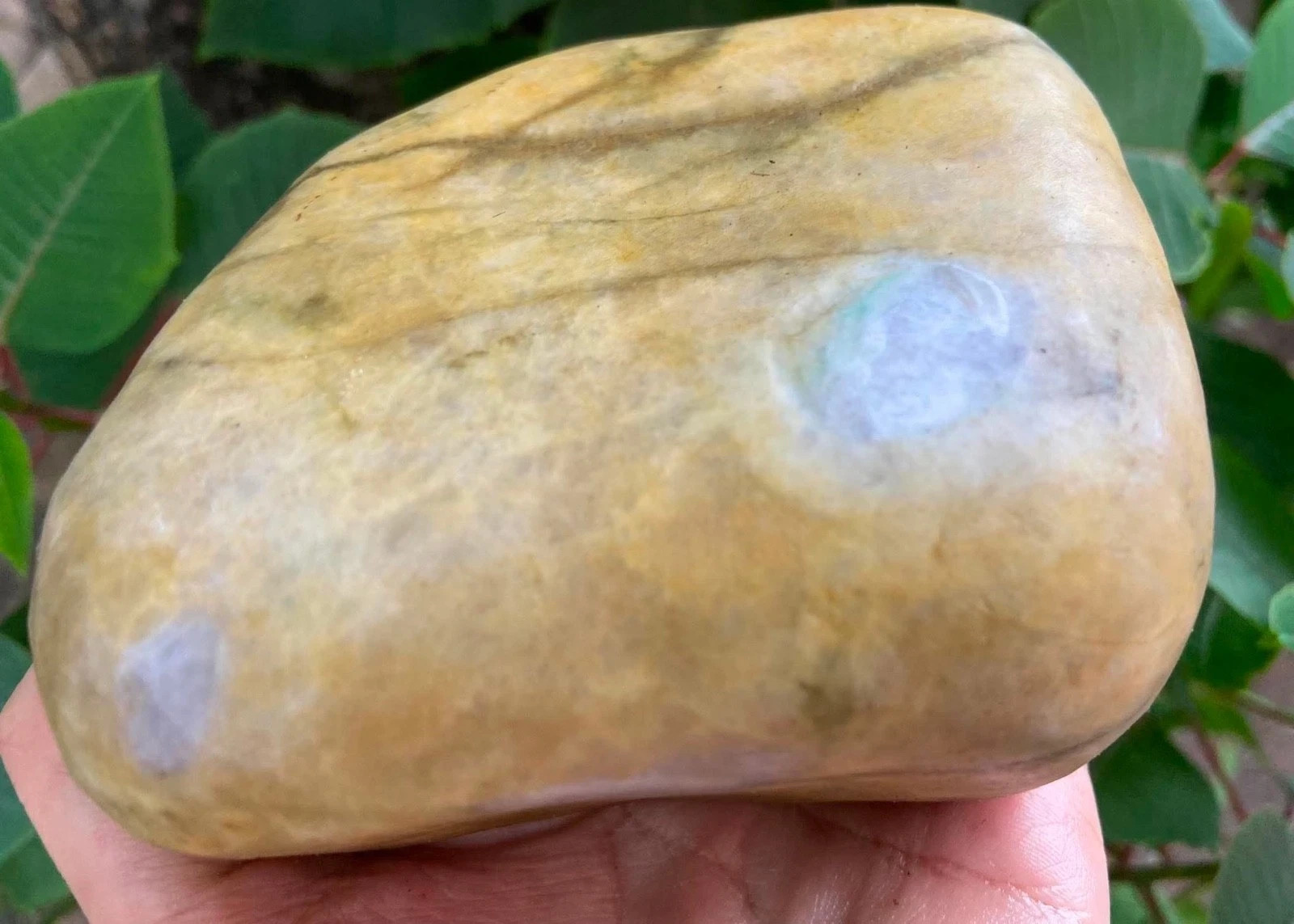 Rare Lavender Green Burmese Jadeite - Rough Stone 1.15 kg - Raw Untreated