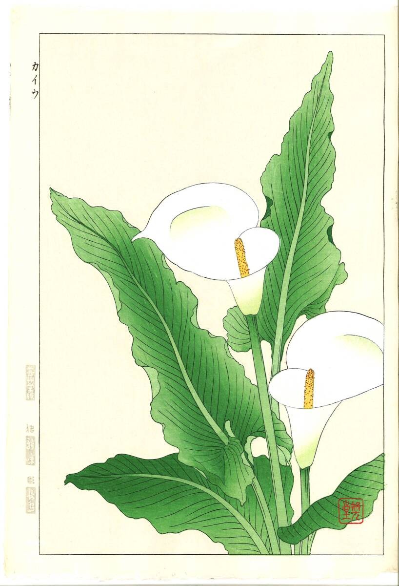 Guaranteed authenticity Kawarazaki Shodo Woodblock print #138 Calla lily Flower