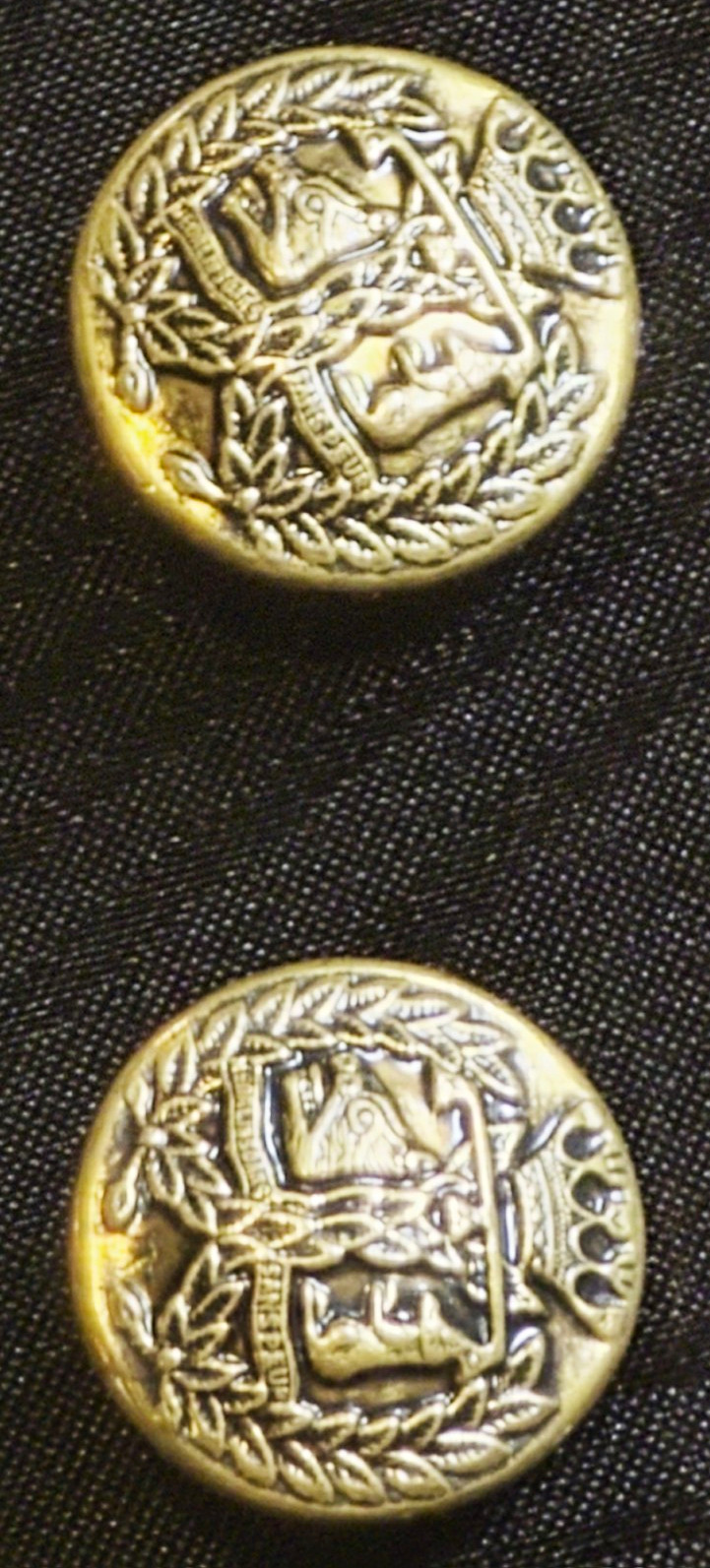 Vintage Gold Crest Buttons Crowned Lion Rampant Laurel Wreath Shank Pair 