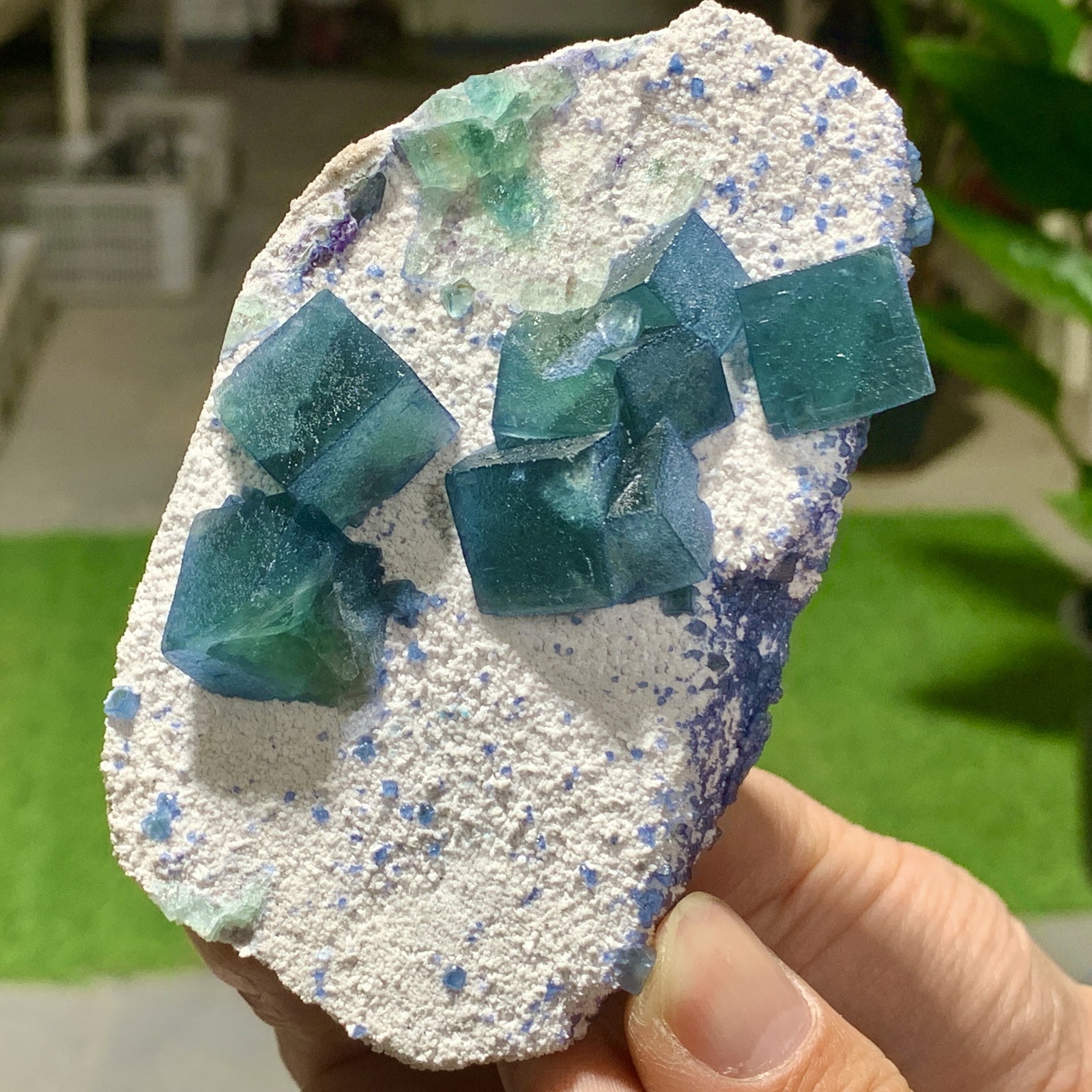 248G  Natural blue green cubic fluorite mineral crystal sample/China