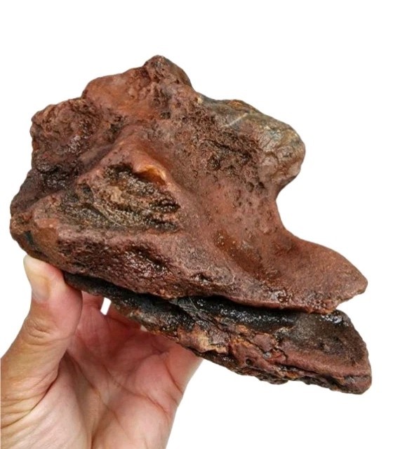 Dino Jasper \