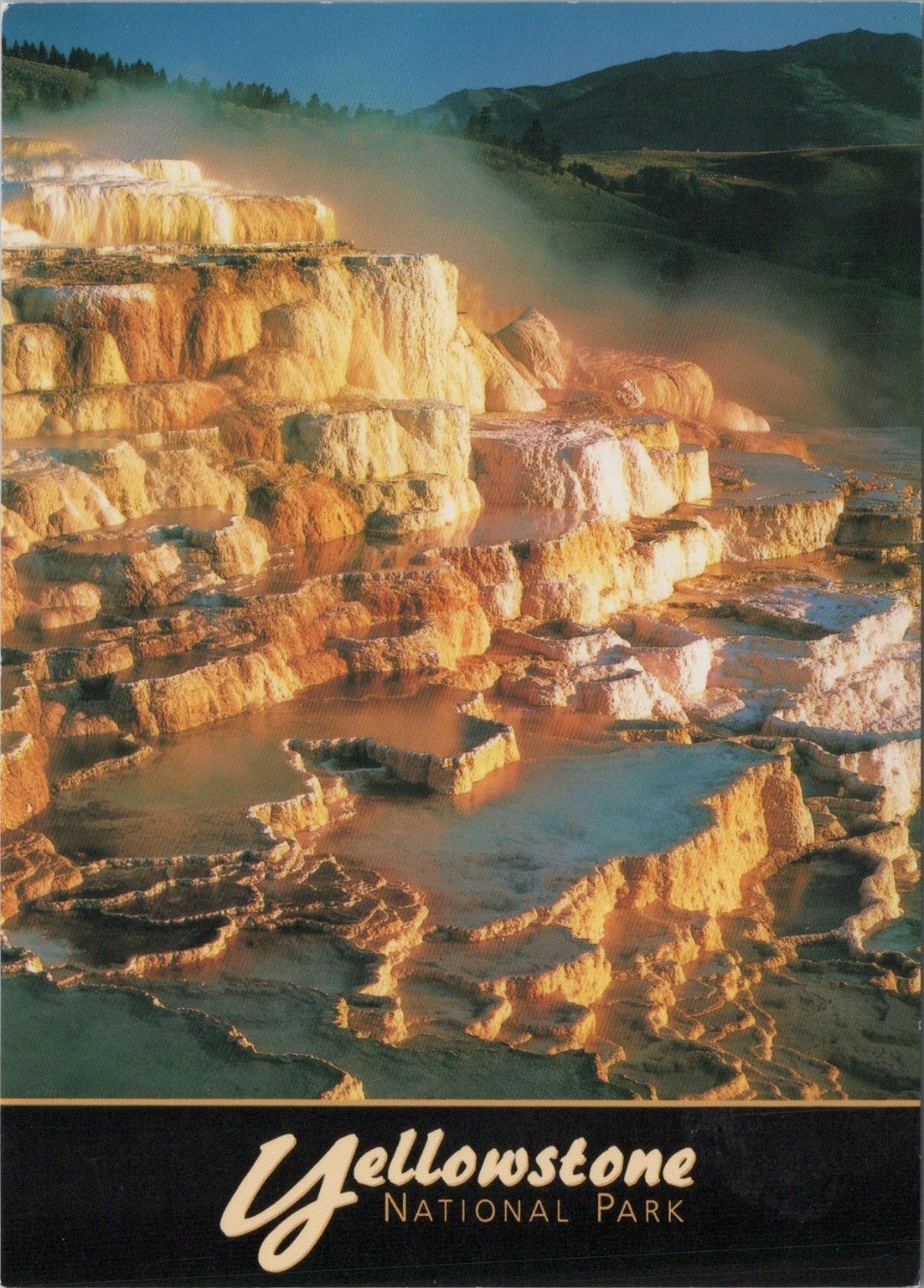 Yellowstone National Park Mammoth Hot Springs Postcard Impact Photo Unposted