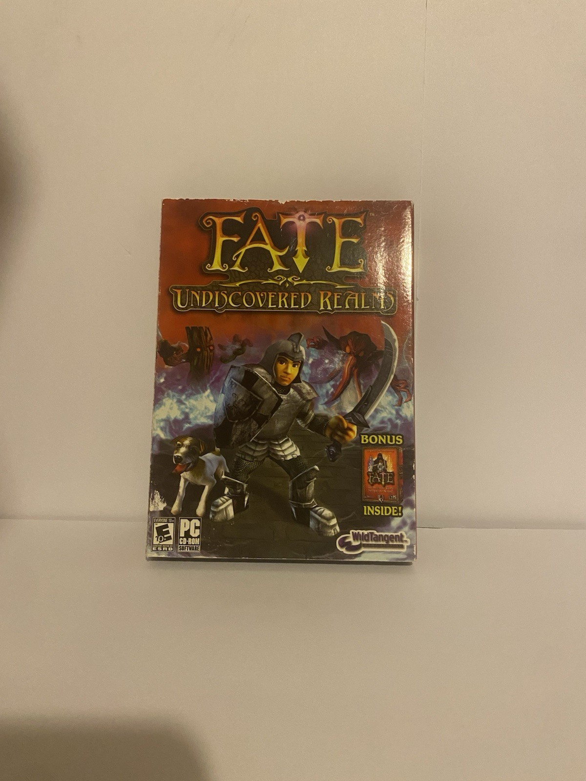 FATE: Undiscovered Realms (Windows PC, 2008)