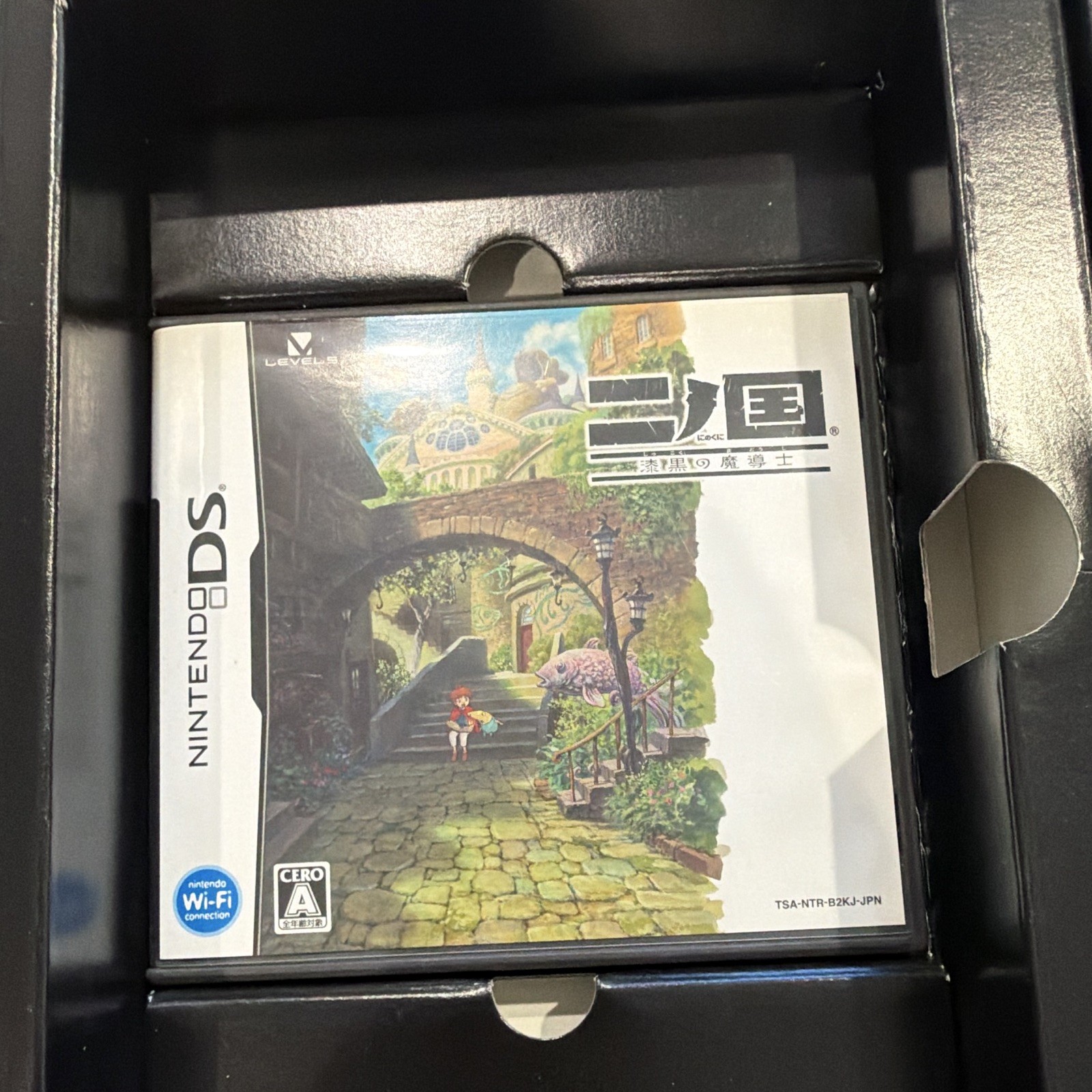 Ni No Kuni: Dominion of the Dark Djinn Level 5 Japanese Game 100% Complete