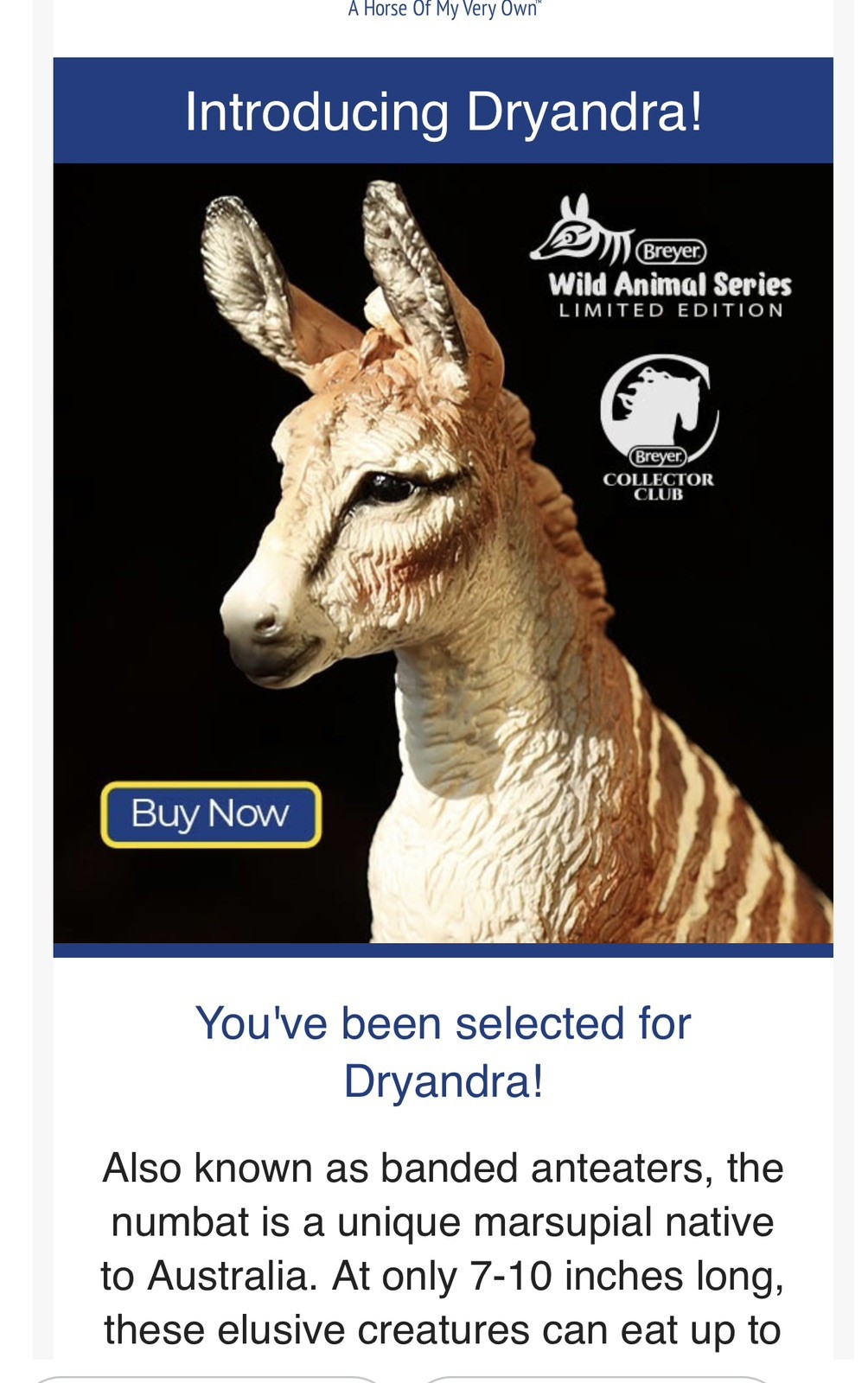 Breyer Dryandra Wild Animal Series 2026 Brighty Donkey