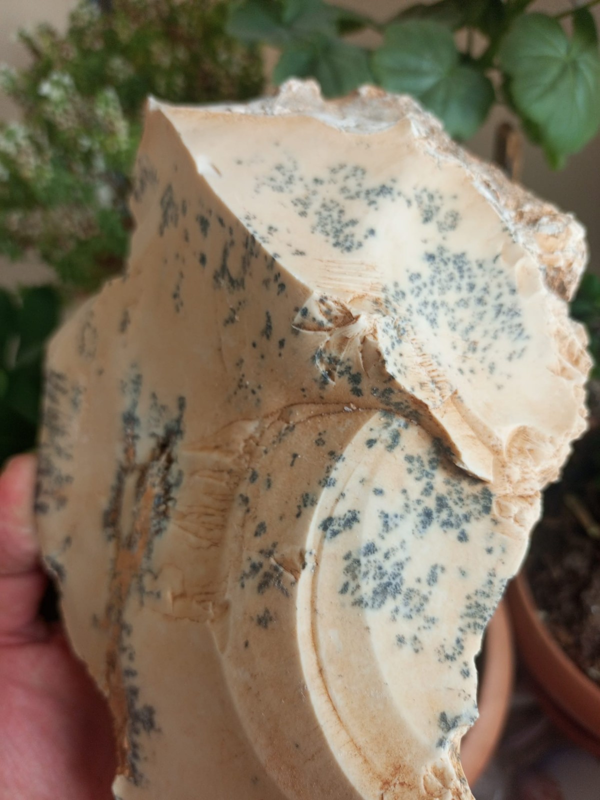 NATURAL DENDRITIC ROUGH – 1790 GRAMS – TURKEY – LAPIDARY & COLLECTOR SPECIMEN