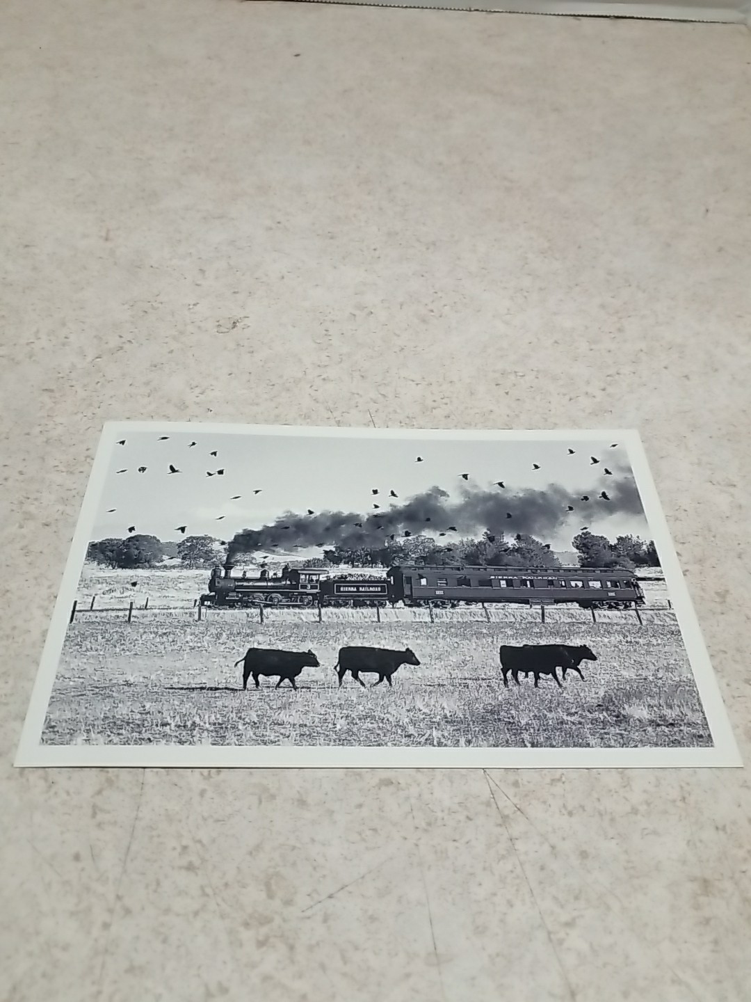 Sierra Railroad Locomotive, Railtown 1897, Jamestown, California CA Postcard 