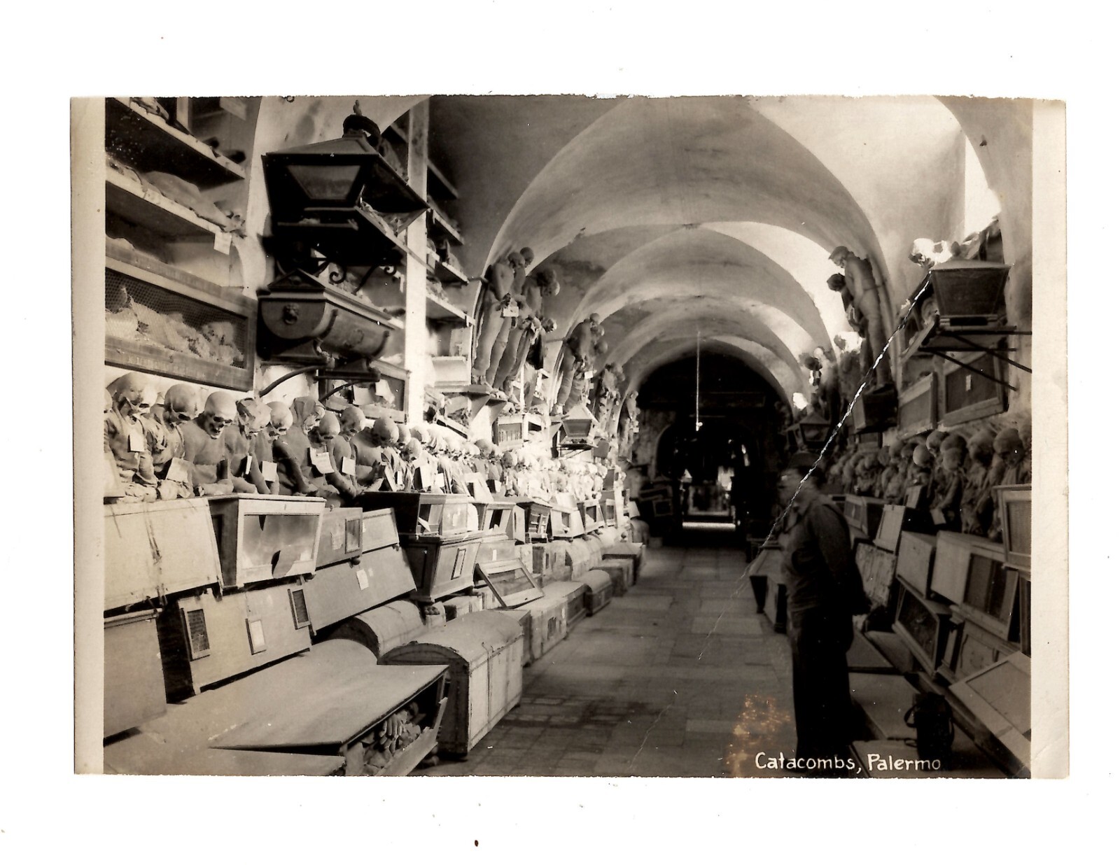 WWII WW2 Original Photo Skeletons in 'Catacombs, Palermo' 1940s *READ*