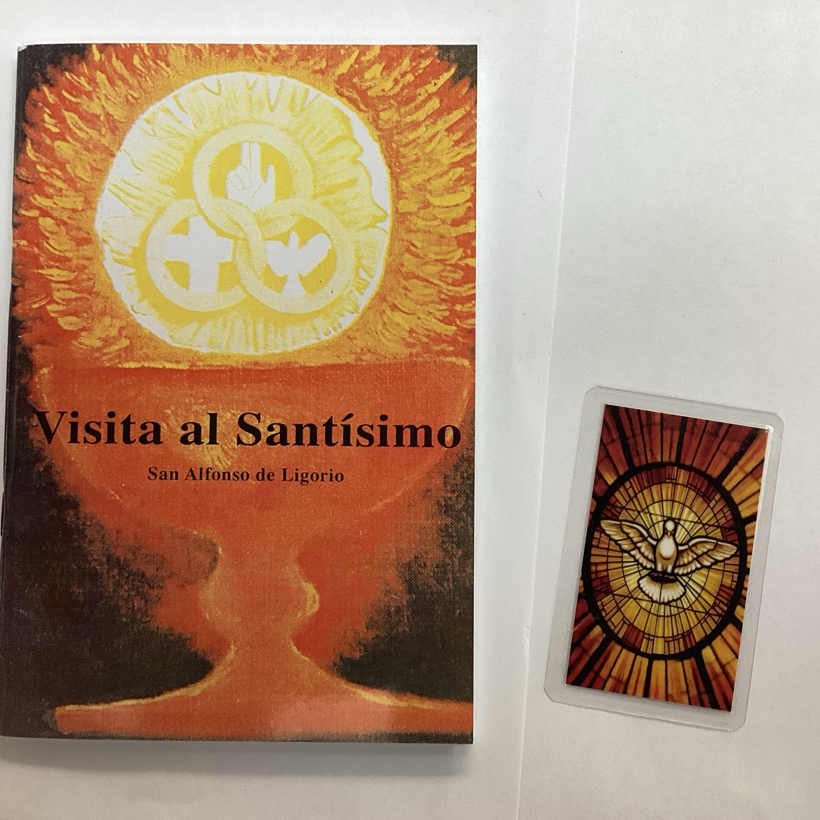VISITA AL SANTISIMO DE SAN ALFONSO DE LIGORIO PRAYER BOOK FAVORS PROTECTION