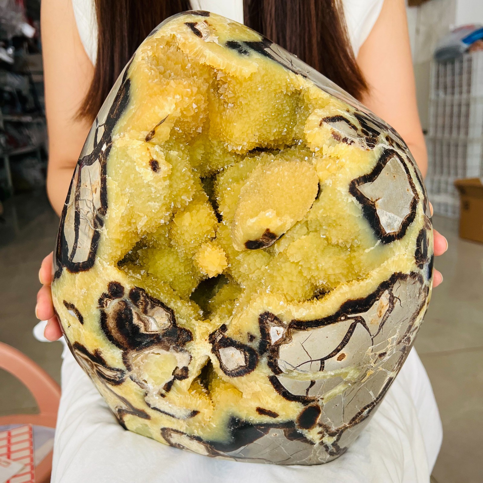 40 LB Natural Septarian Dragon Egg Geode Yellow Calcite Crystal Druzy healing