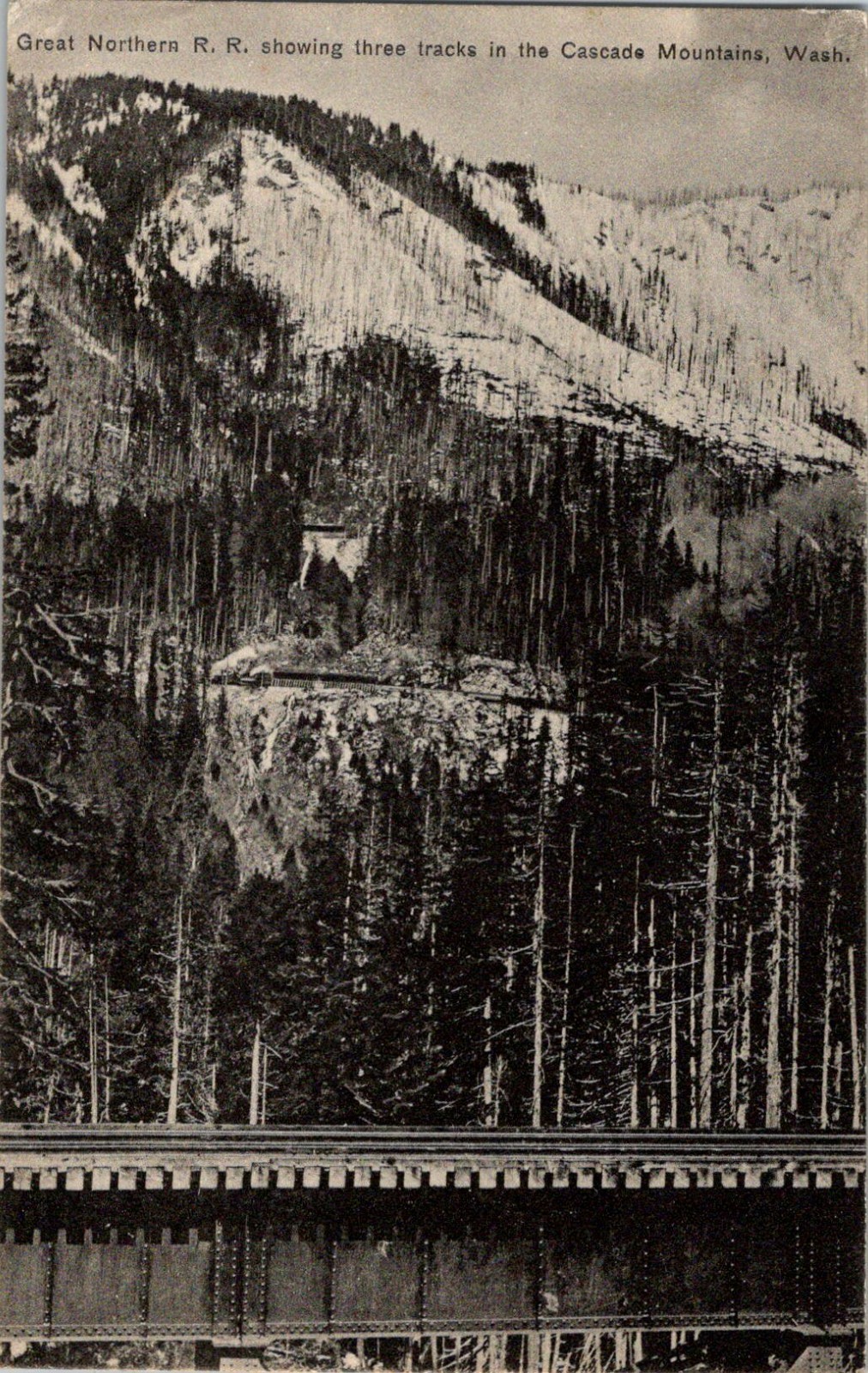 Cascade Mountains WA Great Northern Railroad Three Tracks Printed Postcard