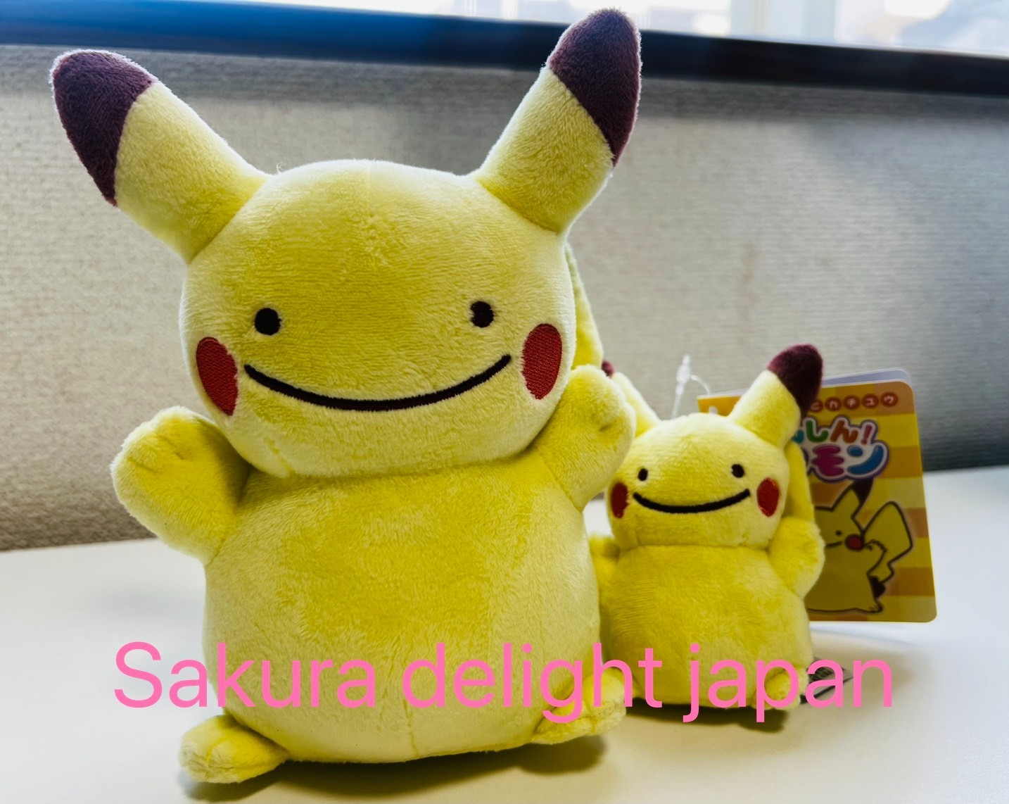 RARE Pokemon Center Transform  Ditto Pikachu Plush & Mascot Set