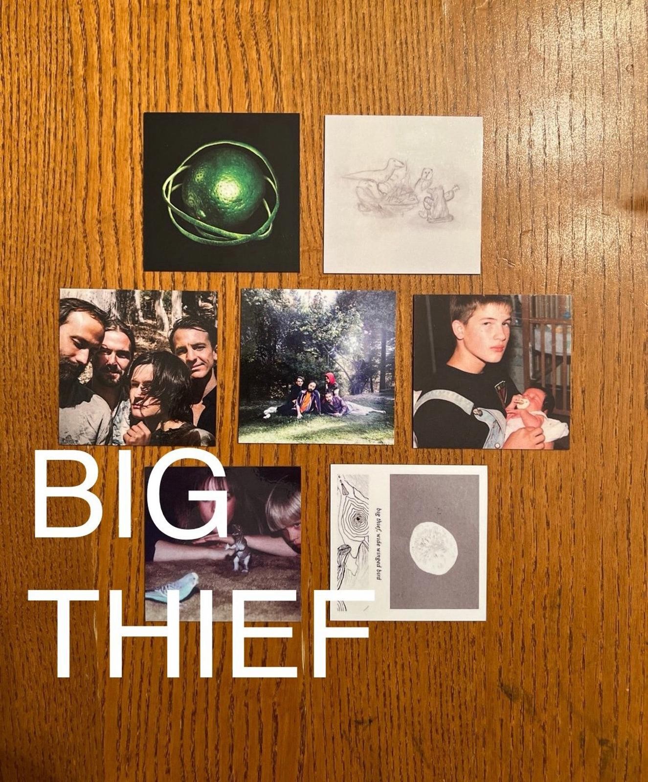 Big Thief fridge magnets
