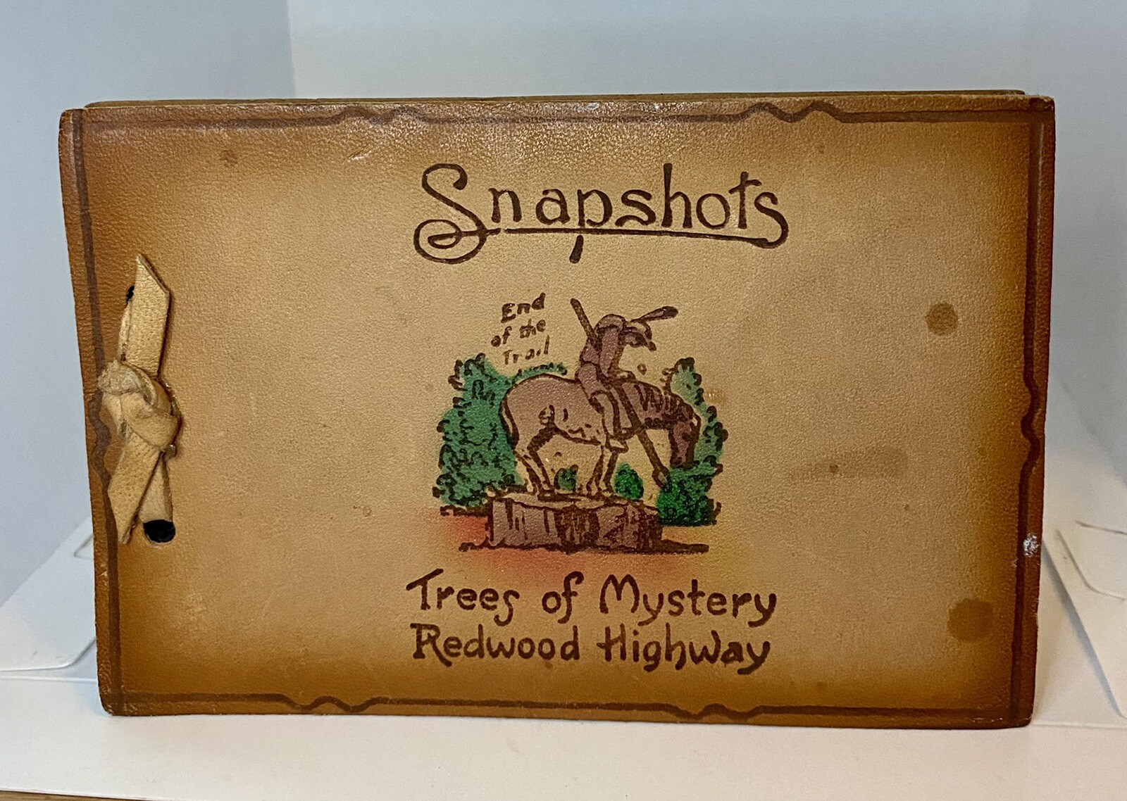 1941 REDWOOD FOREST CA, SNAP SHOT ALBUM LEATHER UNUSED