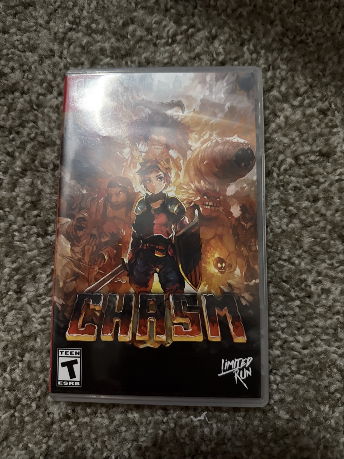 Chasm Limited Run Game Nintendo