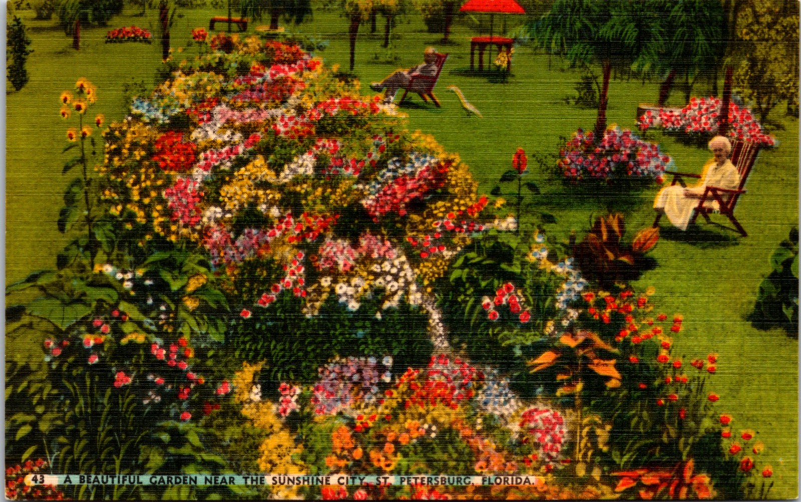 St. Petersburg,FL A Beautiful Garden/Sunshine City/Elderly Lady/Gods Garden-A155