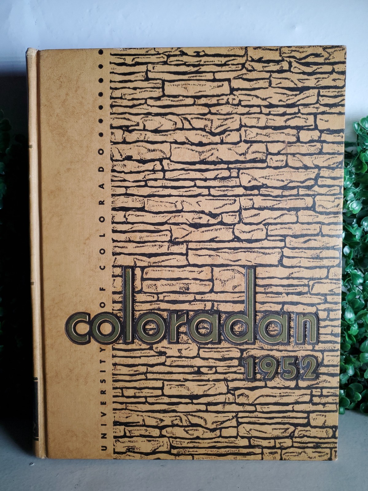 1952 University of Colorado Coloradan Yearbook Vol 54 Boulder Sue Fisher